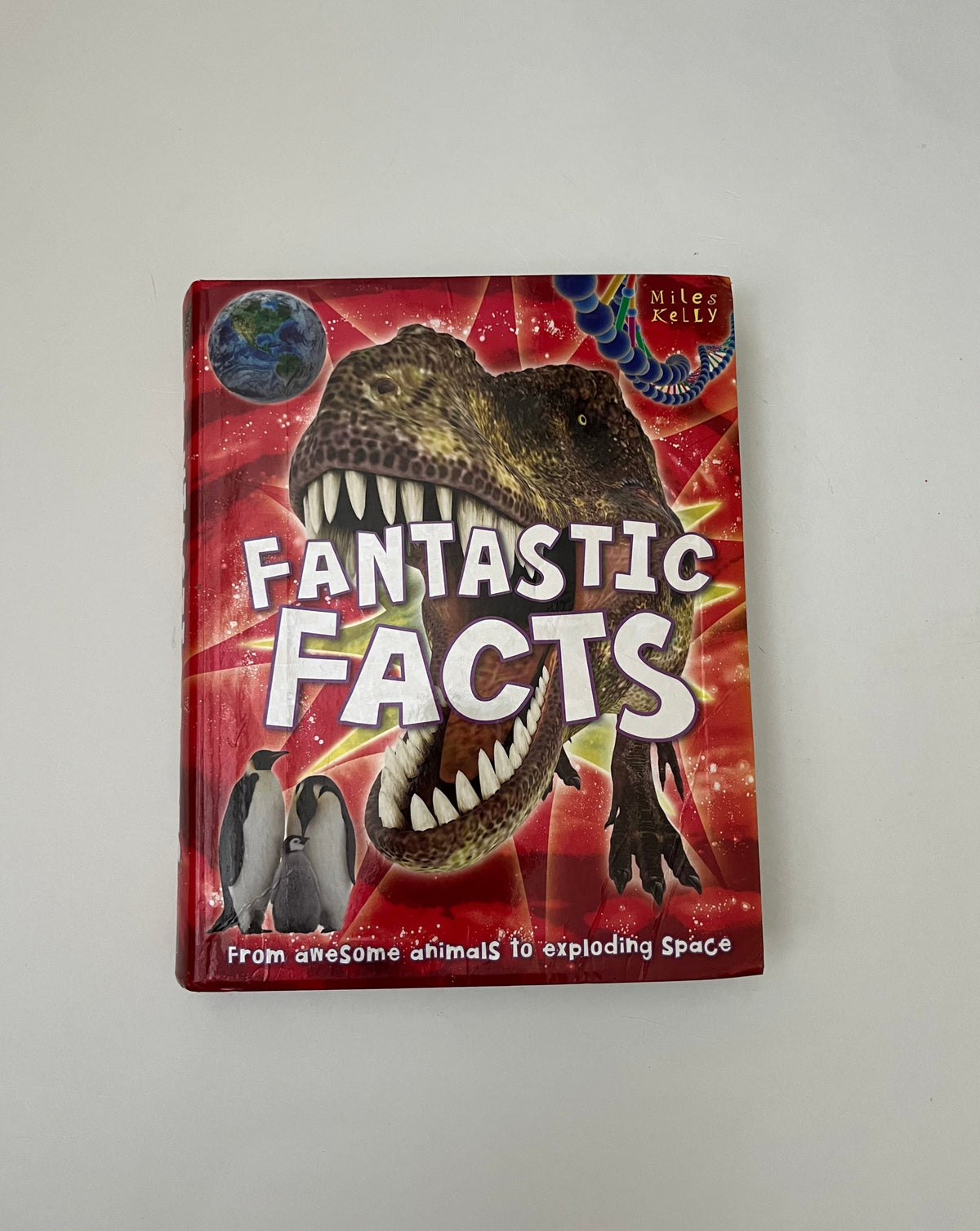 Fantastic Facts: From Awesome Animals to Exploding Space by Miles Kelly