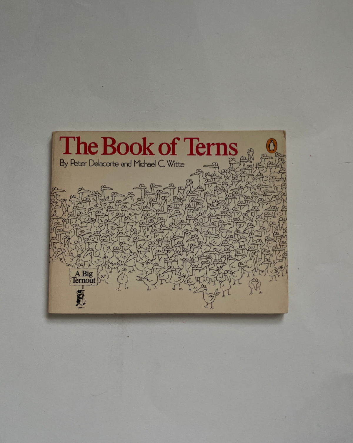 The Book of Terns by Peter Delacorte and Michael C. Witte