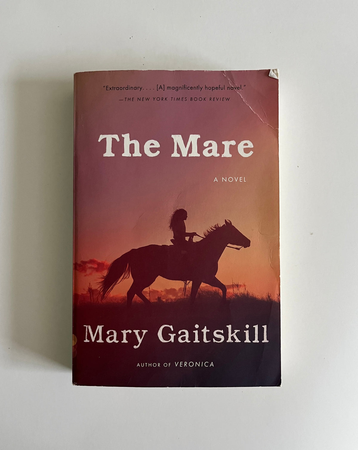 The Mare by Mary Gaitskill