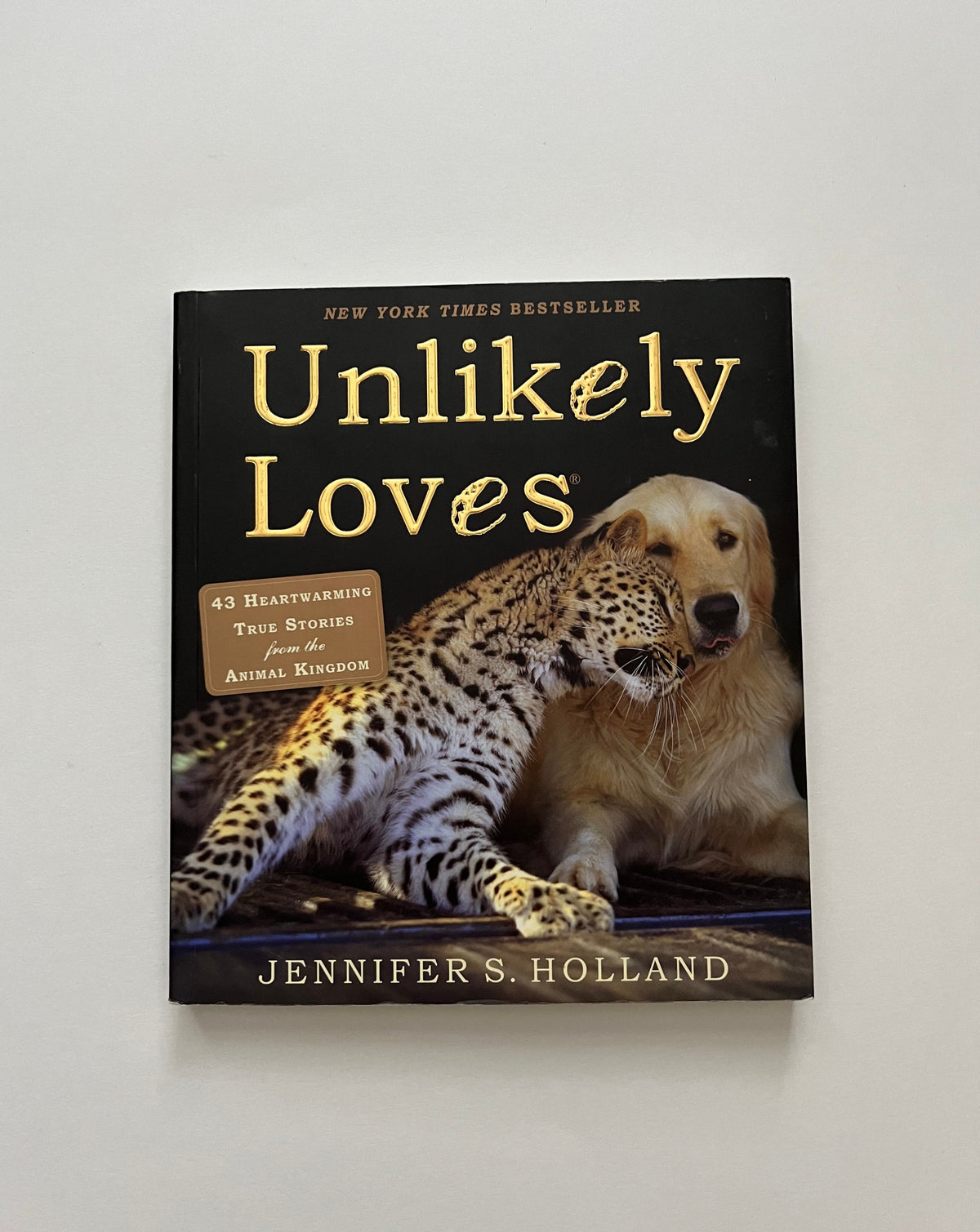Unlikely Loves: 43 Heartwarming Stories from the Animal Kingdom by Jennifer Holland