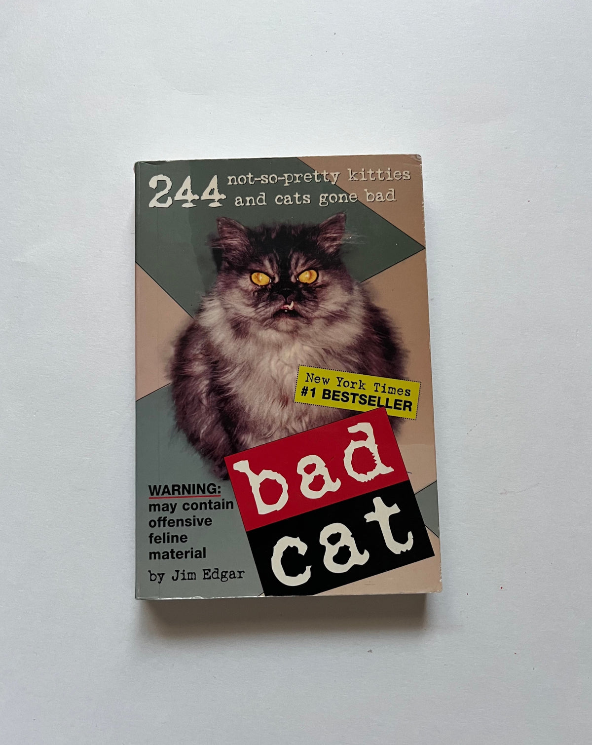 Bad Cat: 244 Not-So-Pretty Kitties and Cats Gone Bad by Jim Edgar