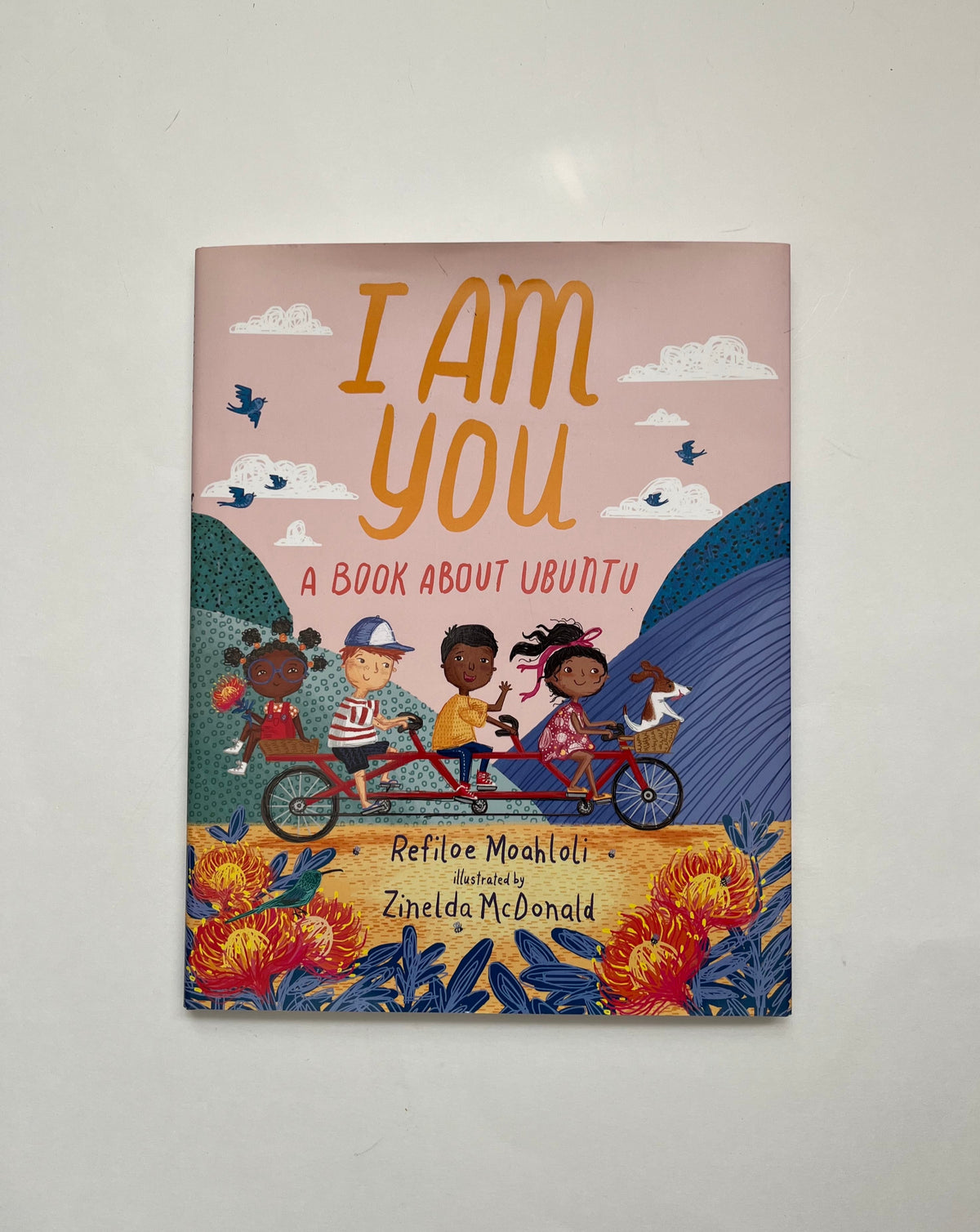 I Am You: A Book About Ubuntu by Refiloe Moahloli &amp; Zinelda McDonald