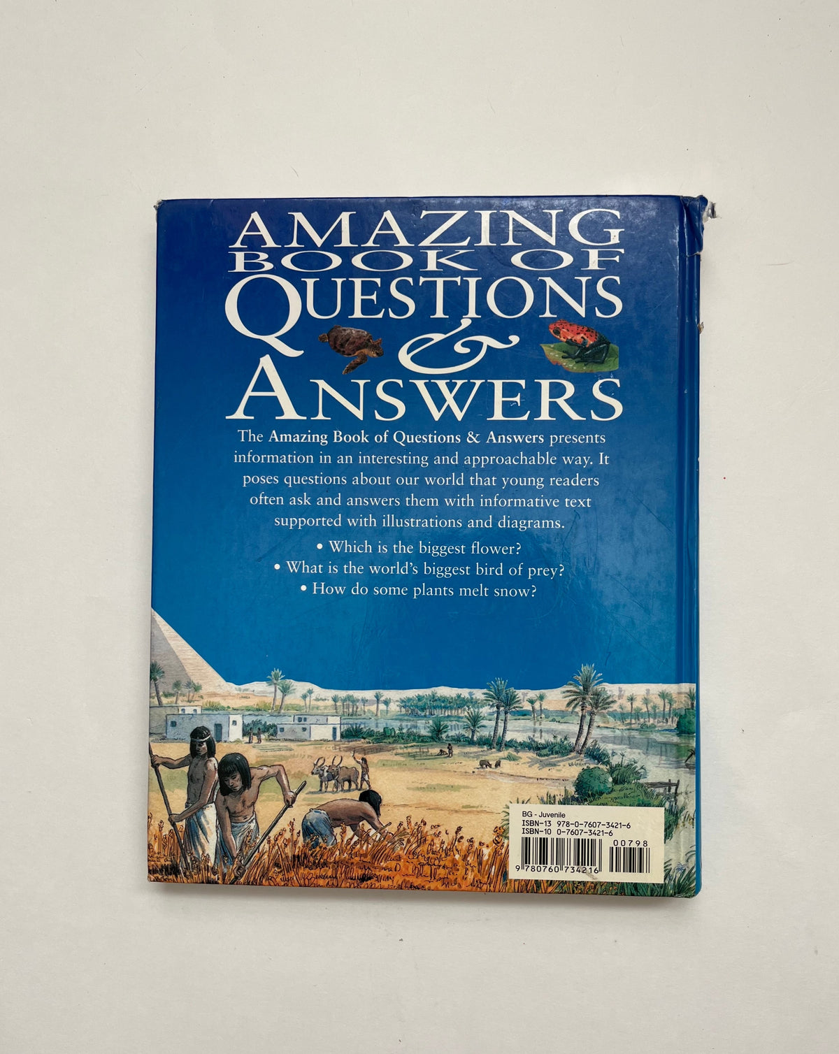 Amazing Book of Questions &amp; Answers by John Guest