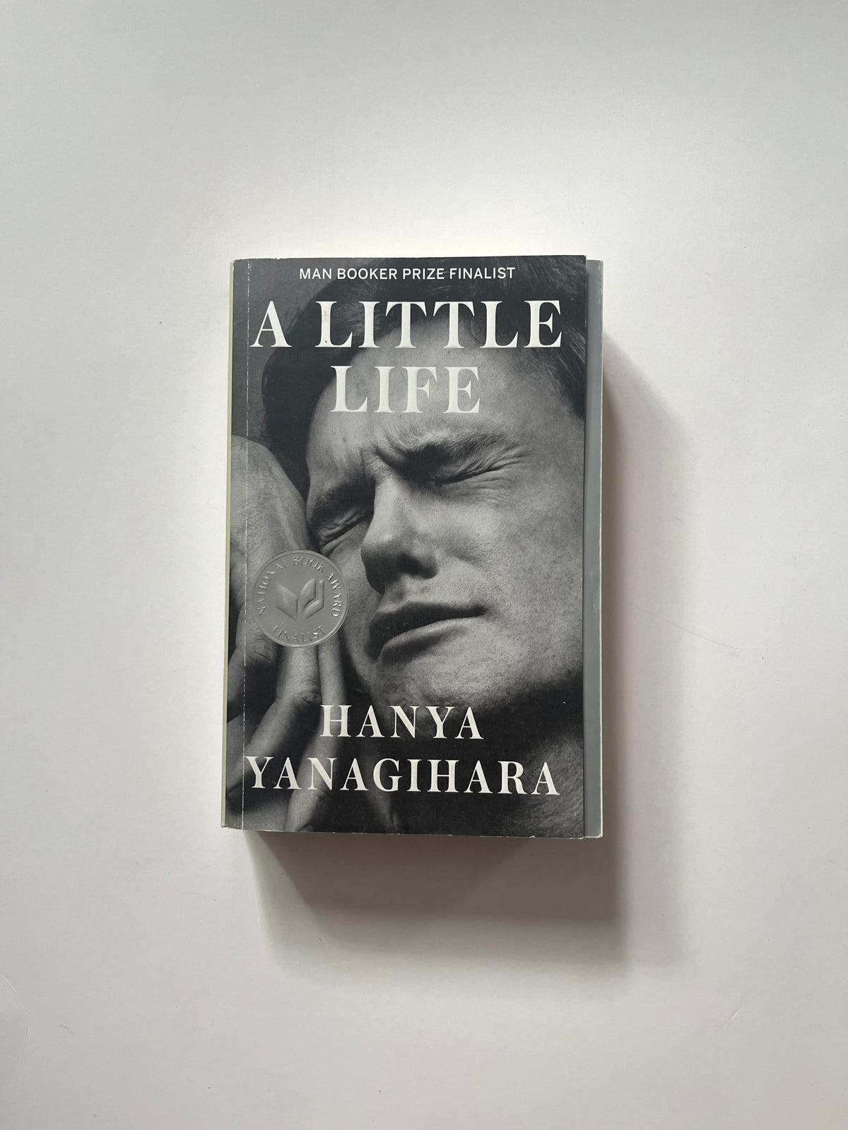 A Little Life by Hanya Yanagihara