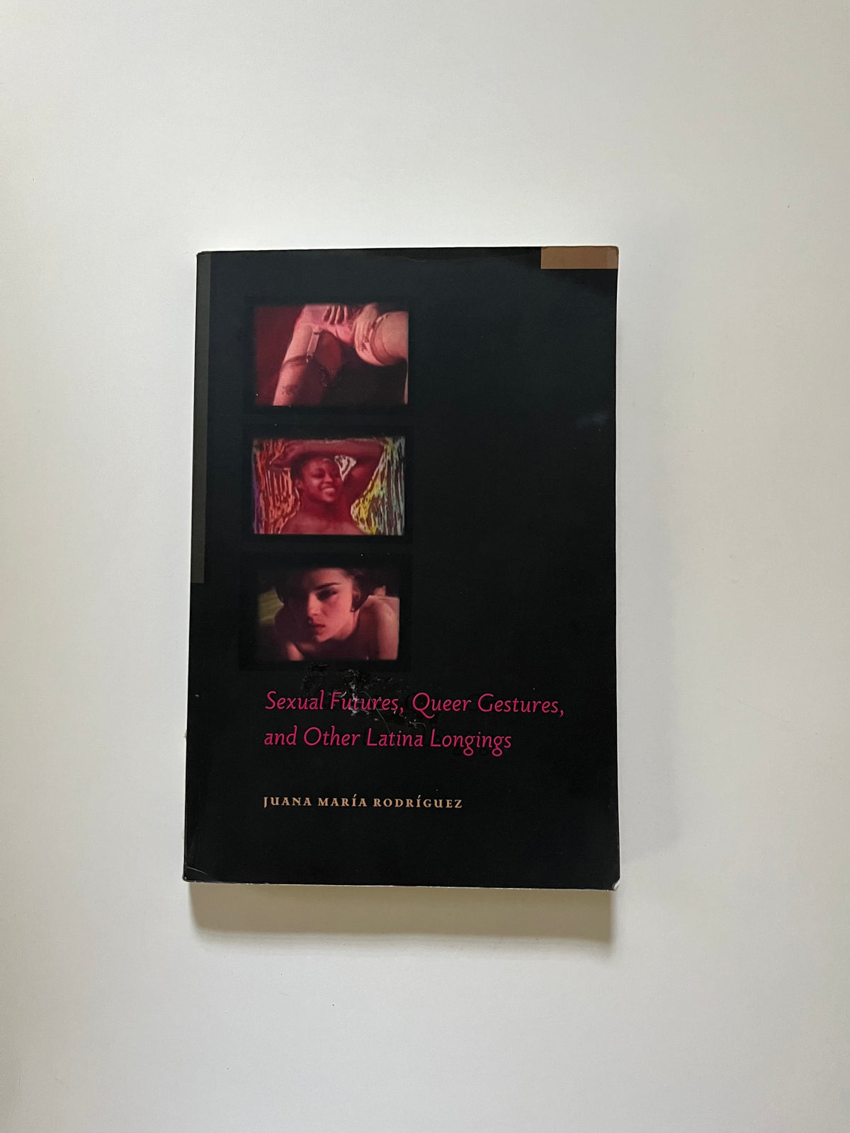 Sexual Futures, Queer Gestures, and Other Latina Longings by Juana María Rodríguez