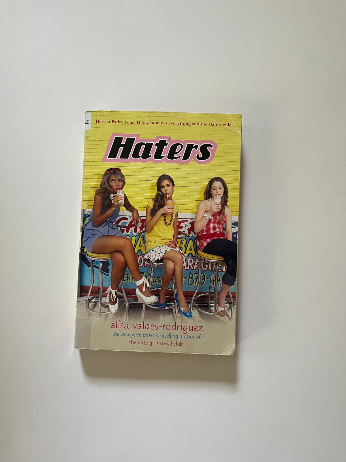 Haters by Alisa Valdes-Rodriguez