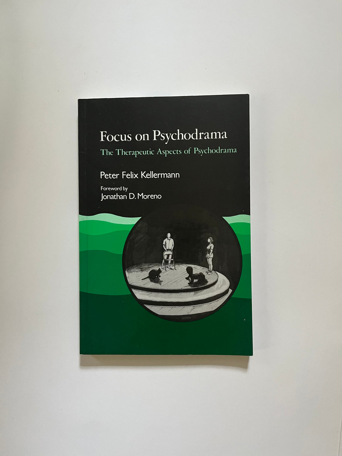 Focus on Psychodrama: The Therapeutic Aspects of Psychodrama by Peter Felix Kellermann