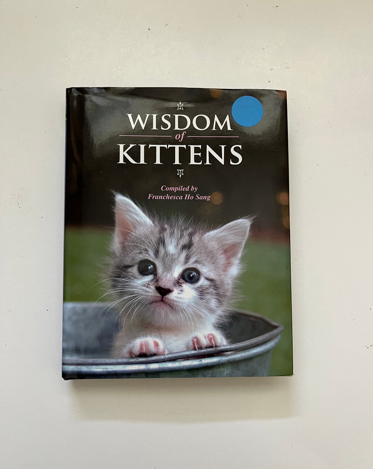 Wisdom of Kittens by Franchesca Ho Sang
