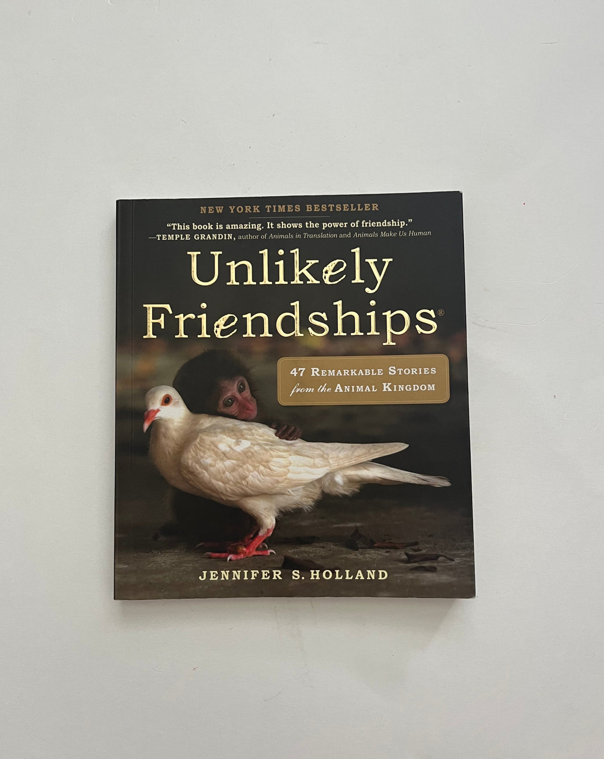 Unlikely Friendships: 47 Remarkable Stories from the Animal Kingdom by Jennifer Holland