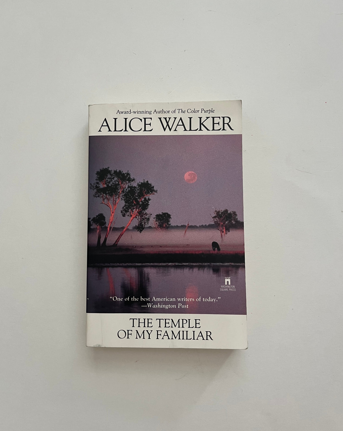 DONATE: The Temple of My Familiar by Alice Walker