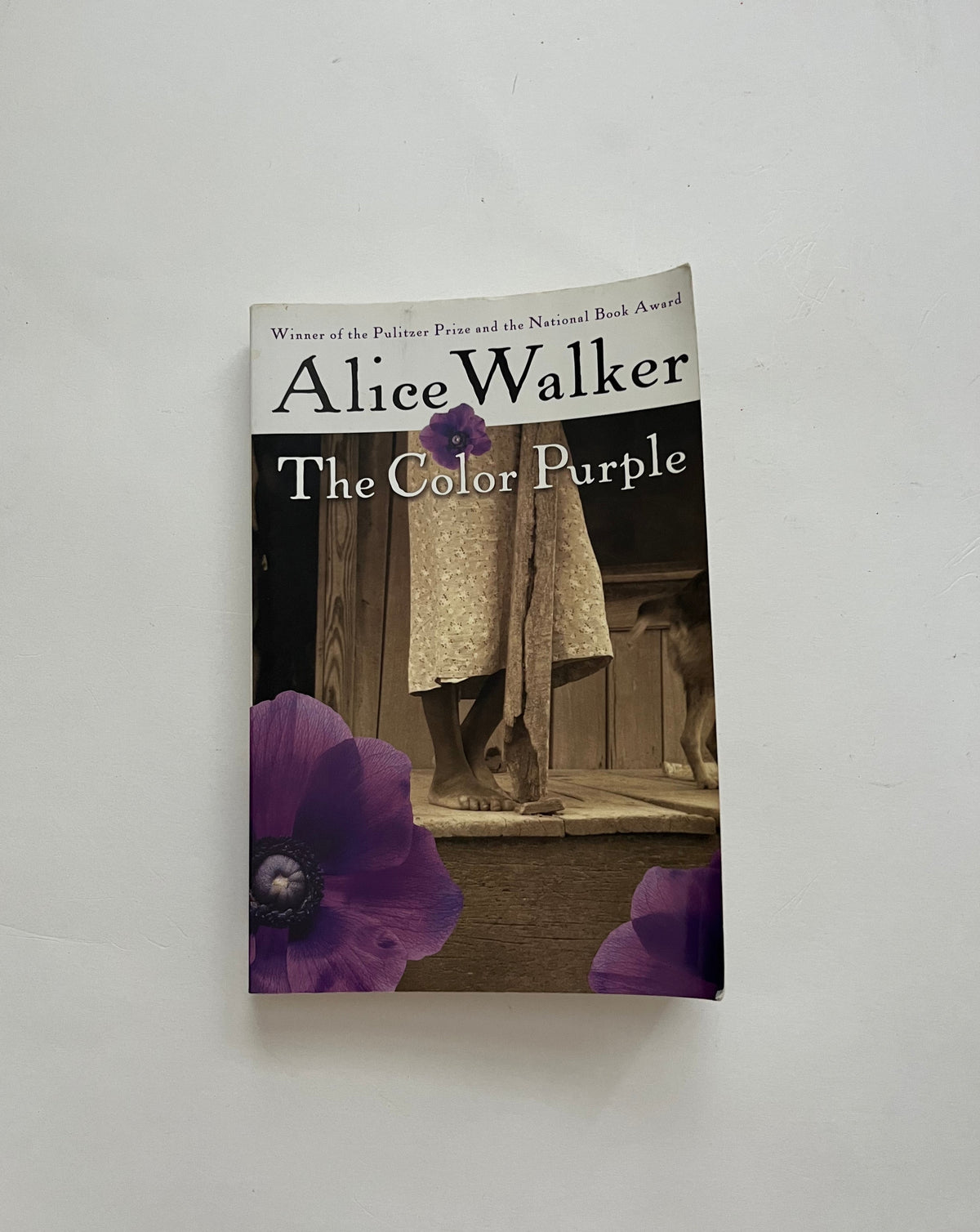 DONATE: The Color Purple by Alice Walker