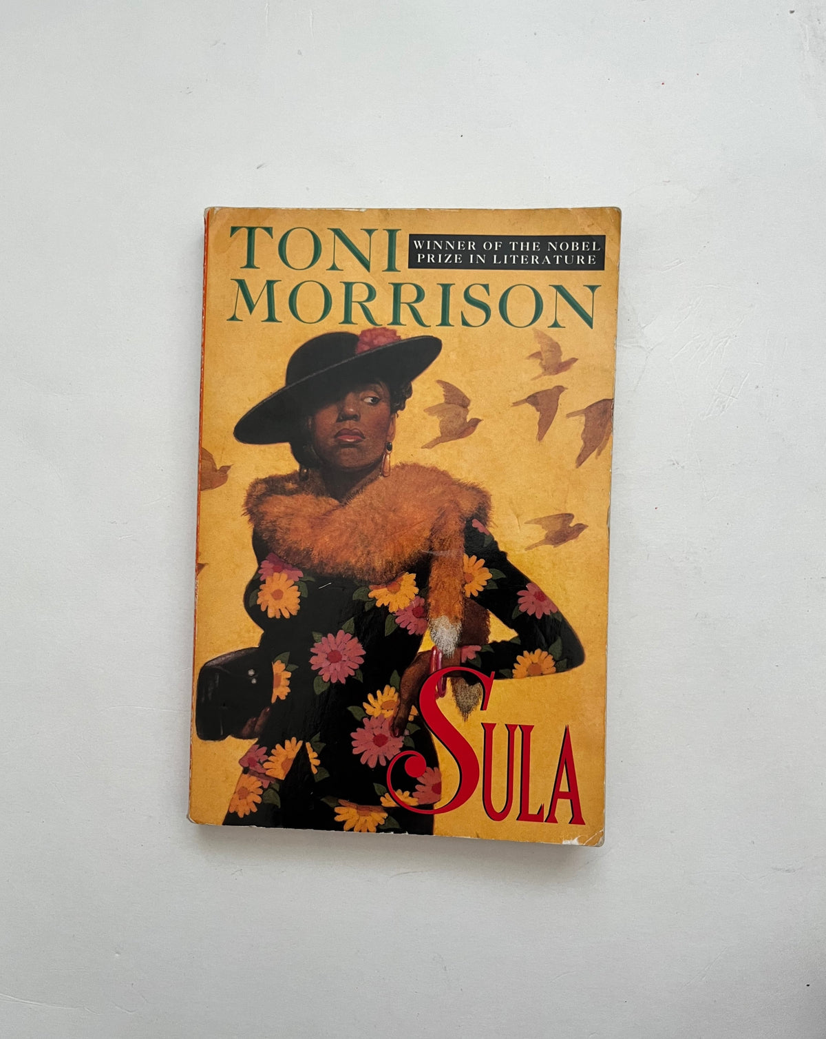 Sula by Toni Morrison