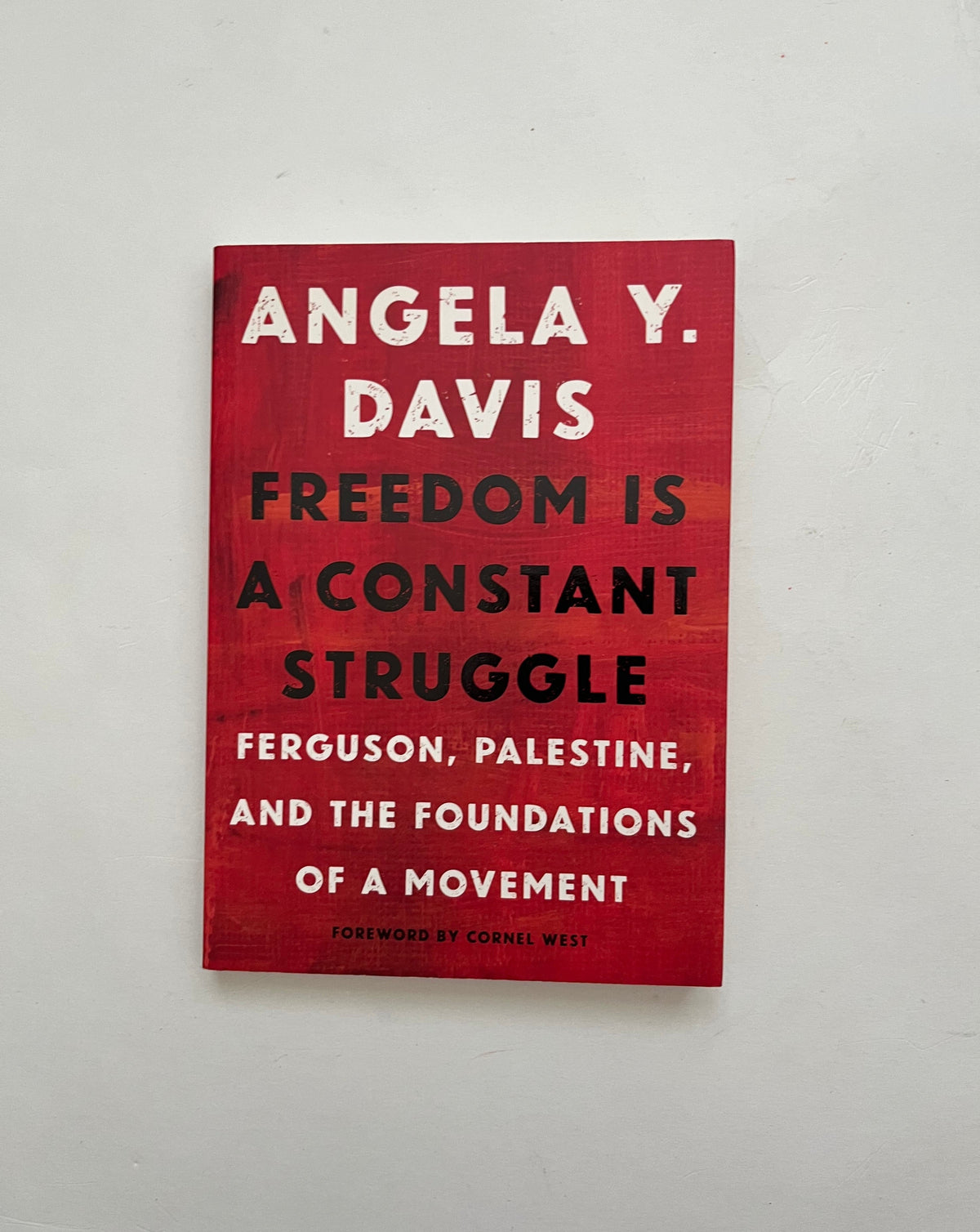 Freedom is a Constant Struggle: Ferguson, Palestine, and the Foundations of a Movement by Angela Davis