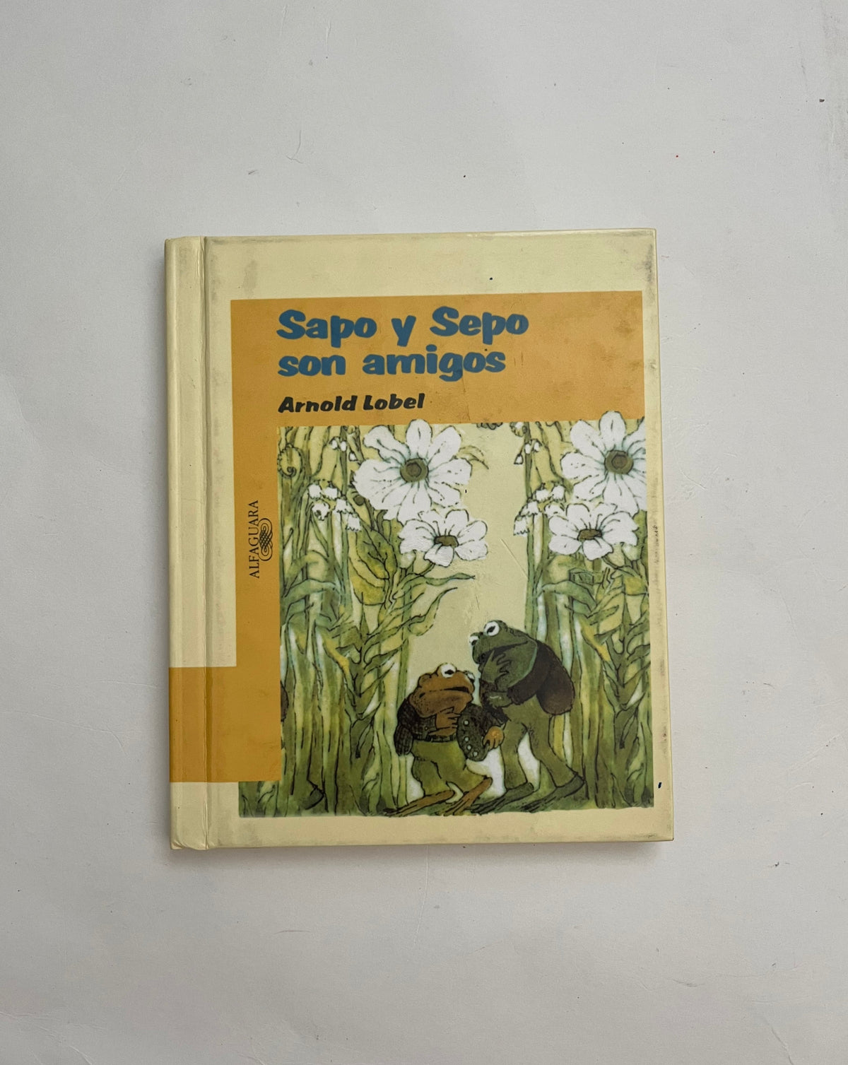 Sapo y Sapo Son Amigos por Arnold Lobel