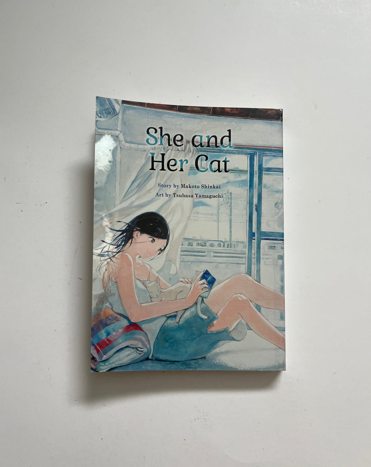 She and Her Cat by Makoto Shinkai