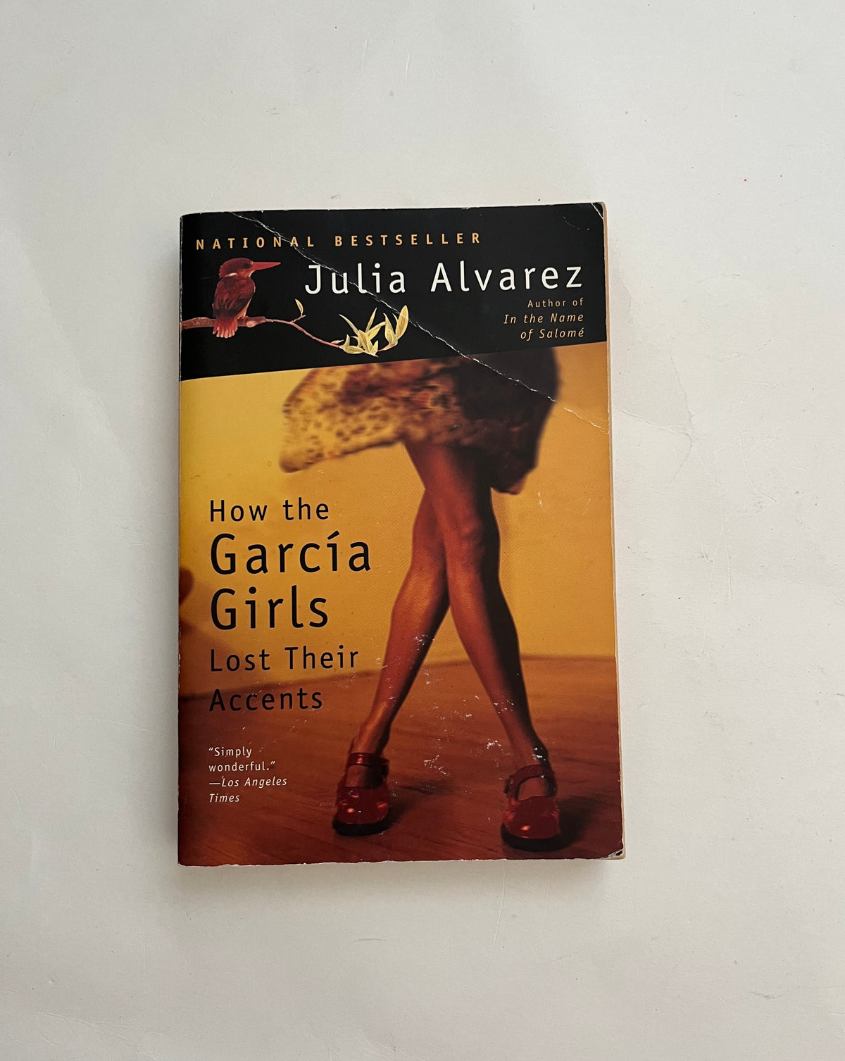 How the Garcia Girls Lost Their Accents by Julia Alvarez