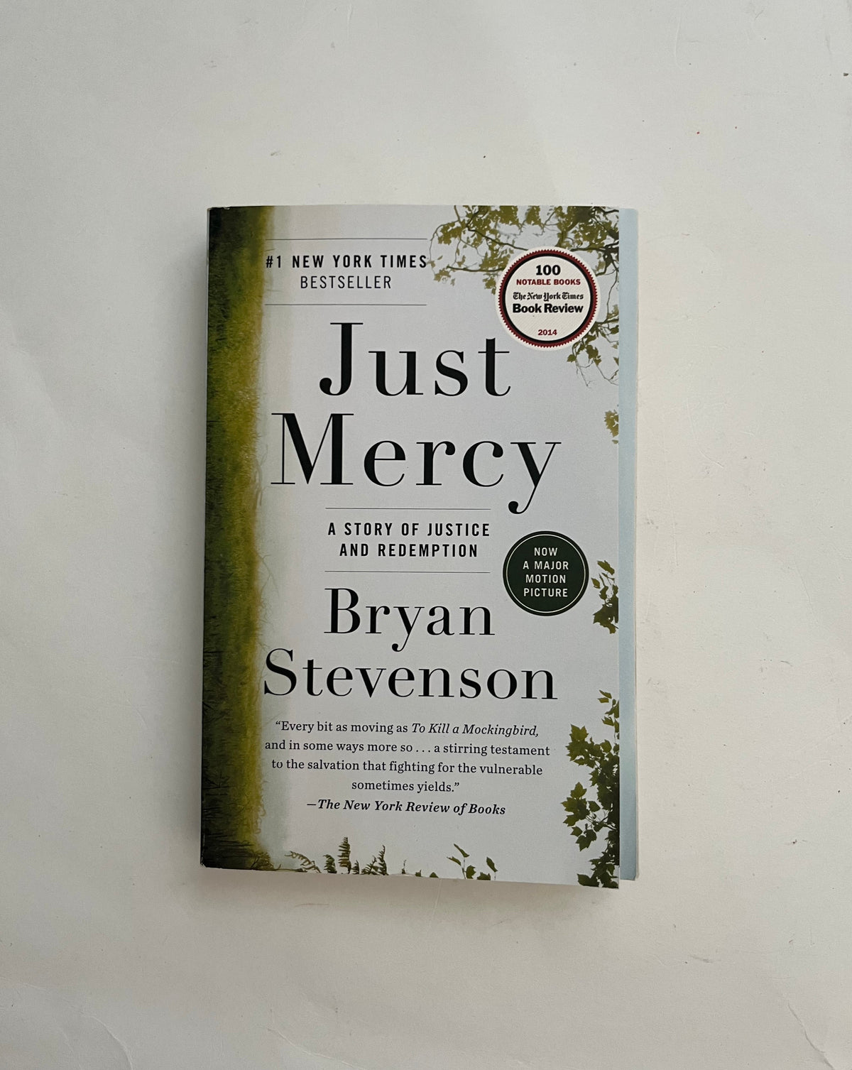 Just Mercy: A Story of Justice and Redemption by Bryan Stevenson