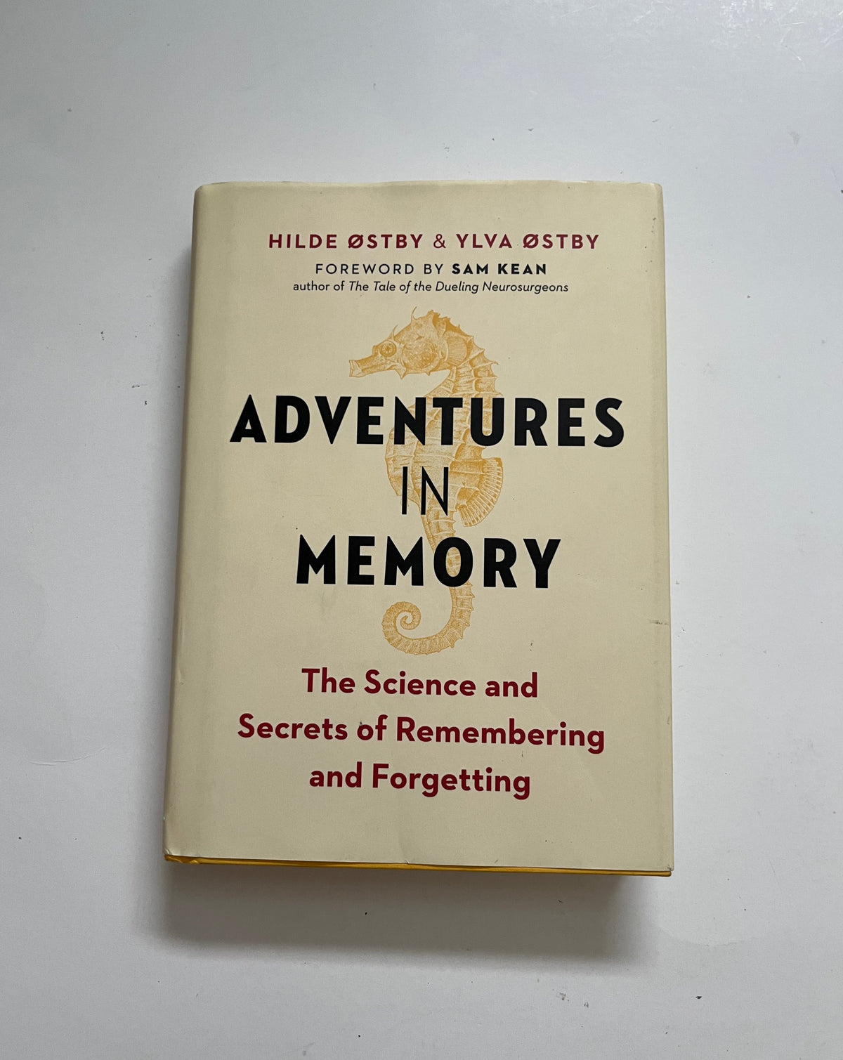 Adventures in Memory by Hilde Ostby &amp; Yluva Ostby