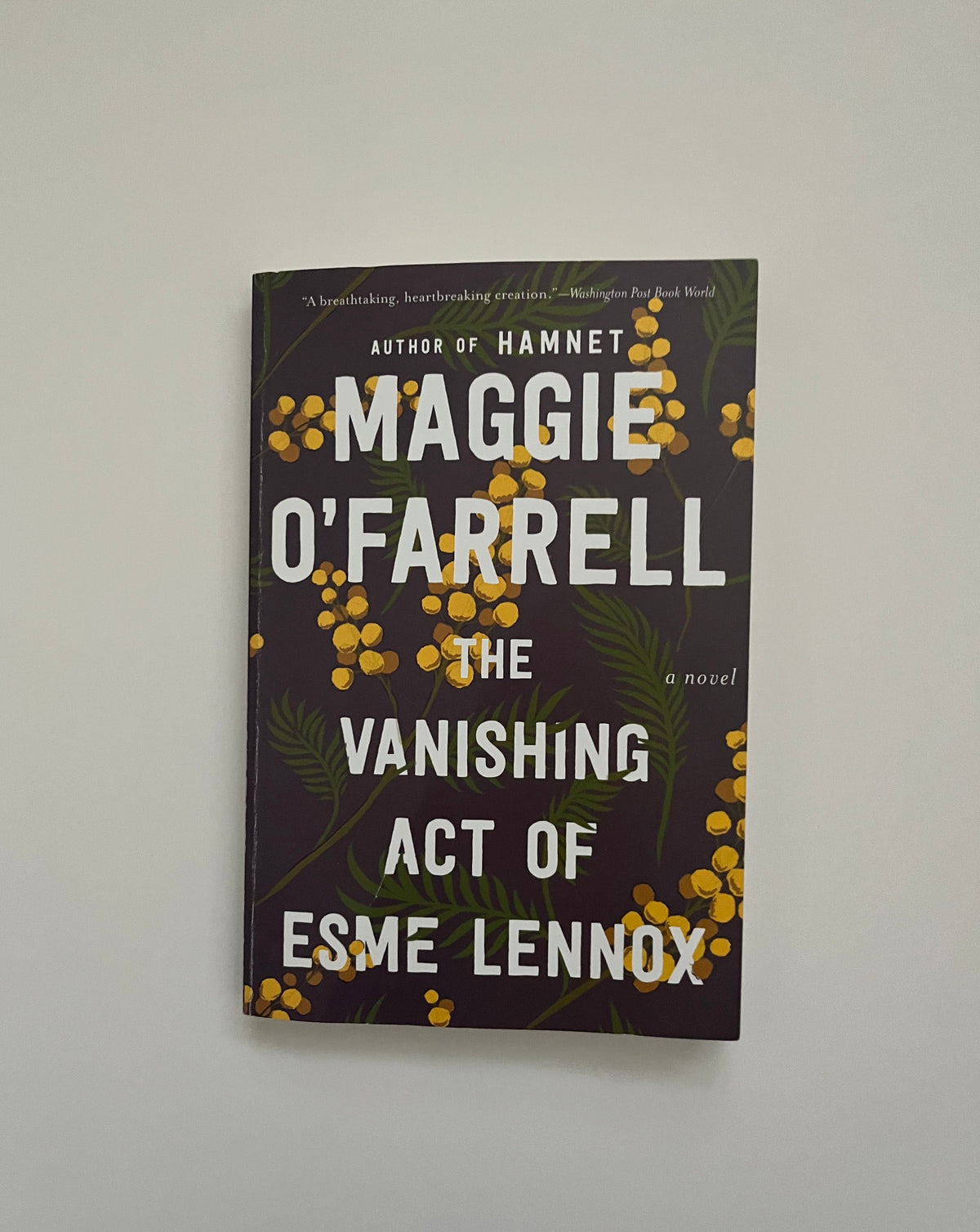 The Vanishing Act of Esme Lennox by Maggie O&#39;Farrell