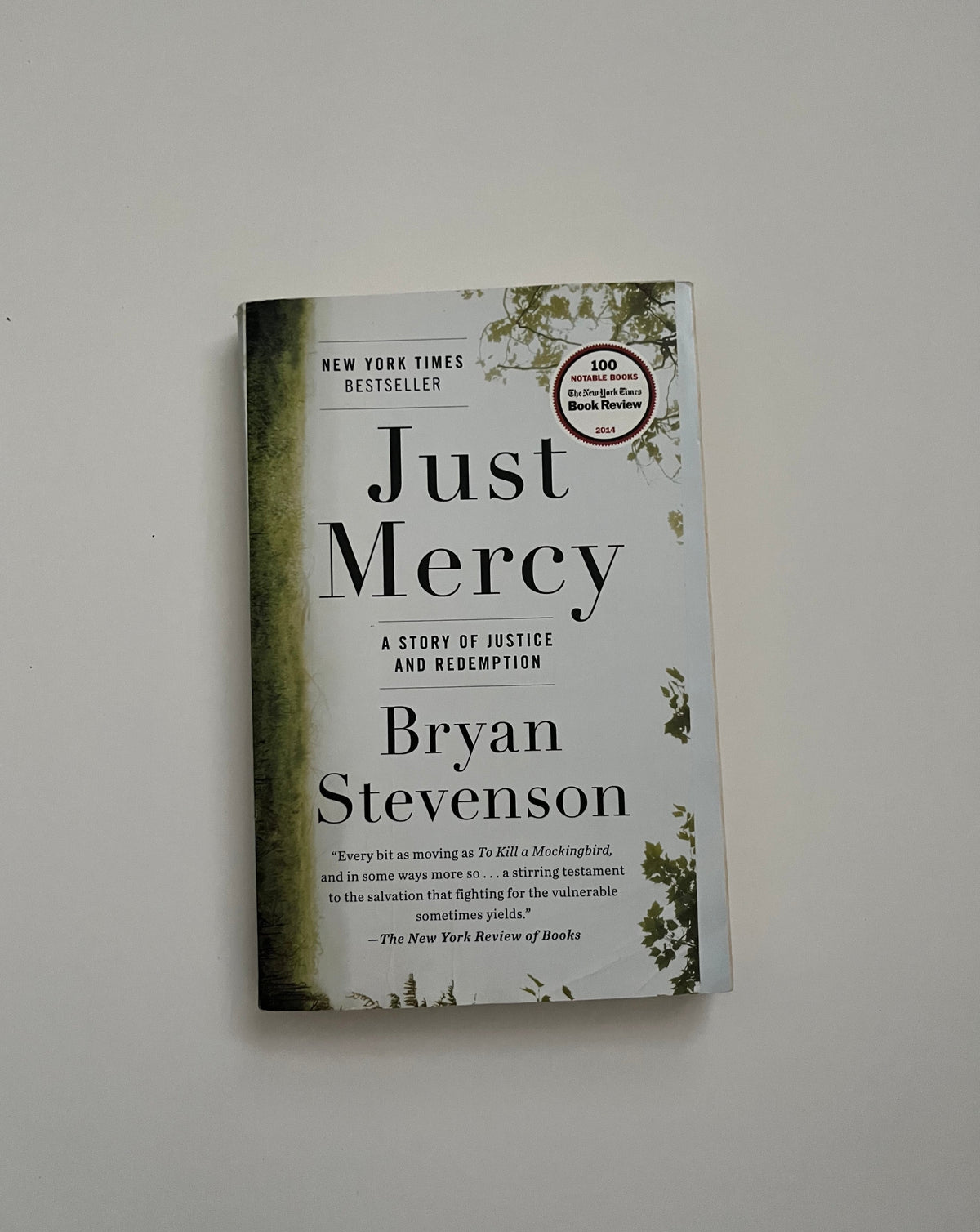 Just Mercy: A Story of Justice and Redemption by Bryan Stevenson