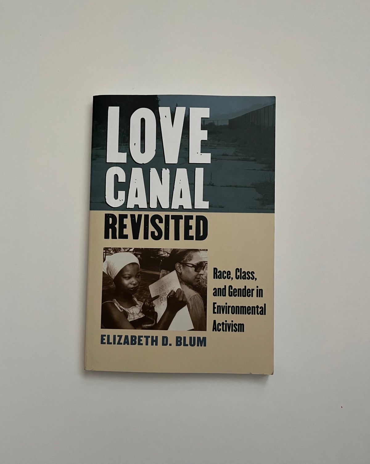 Love Canal Revisited: Race, Class, and Gender in Environmental Activism by Elizabeth D. Blum