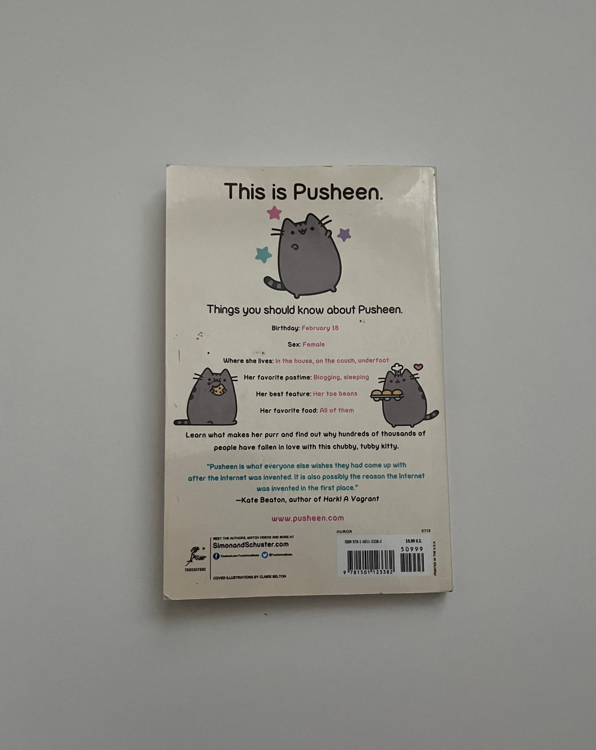 I am Pusheen the Cat by Claire Belton