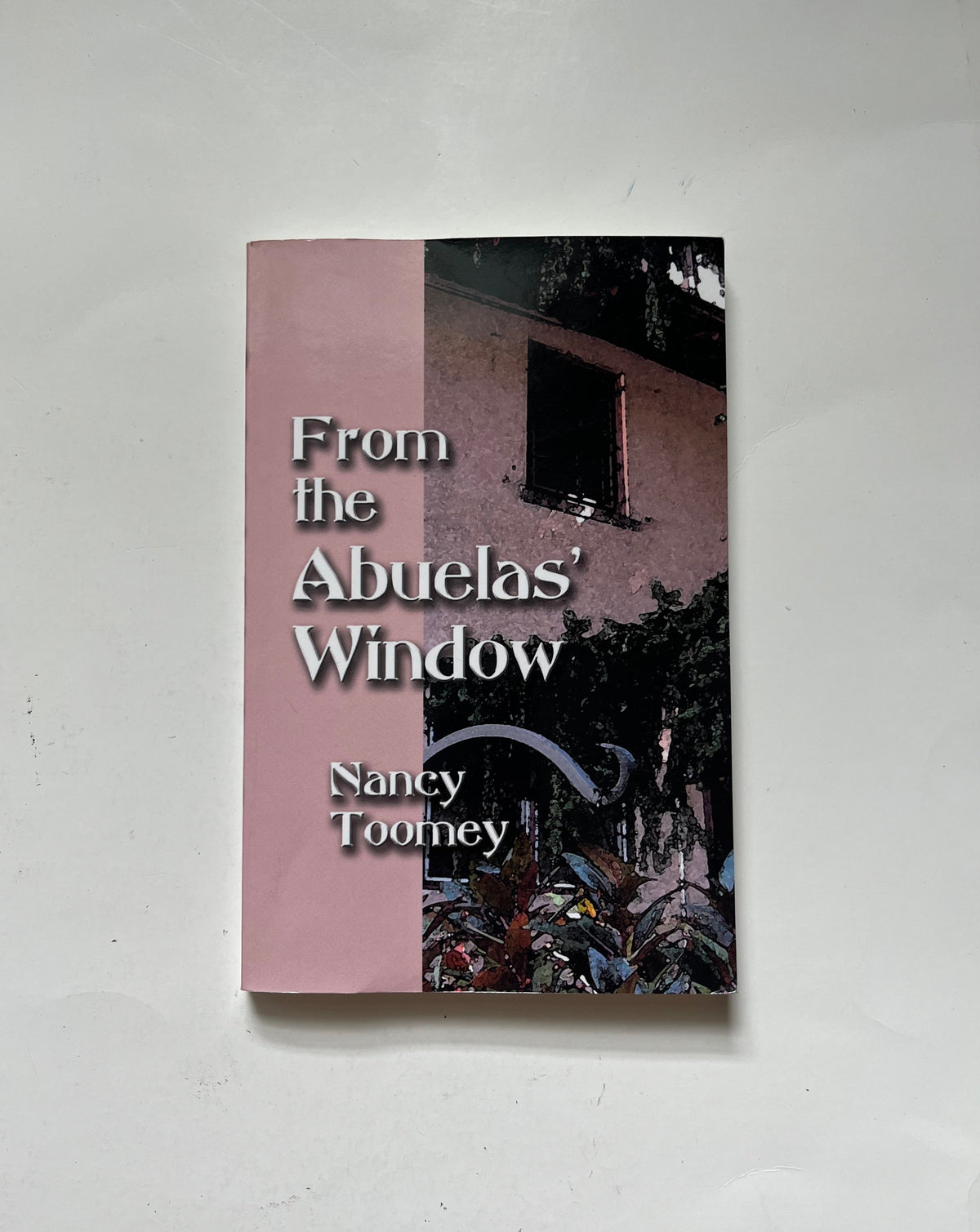 From the Abuelas&#39; Window by Nancy Toomey
