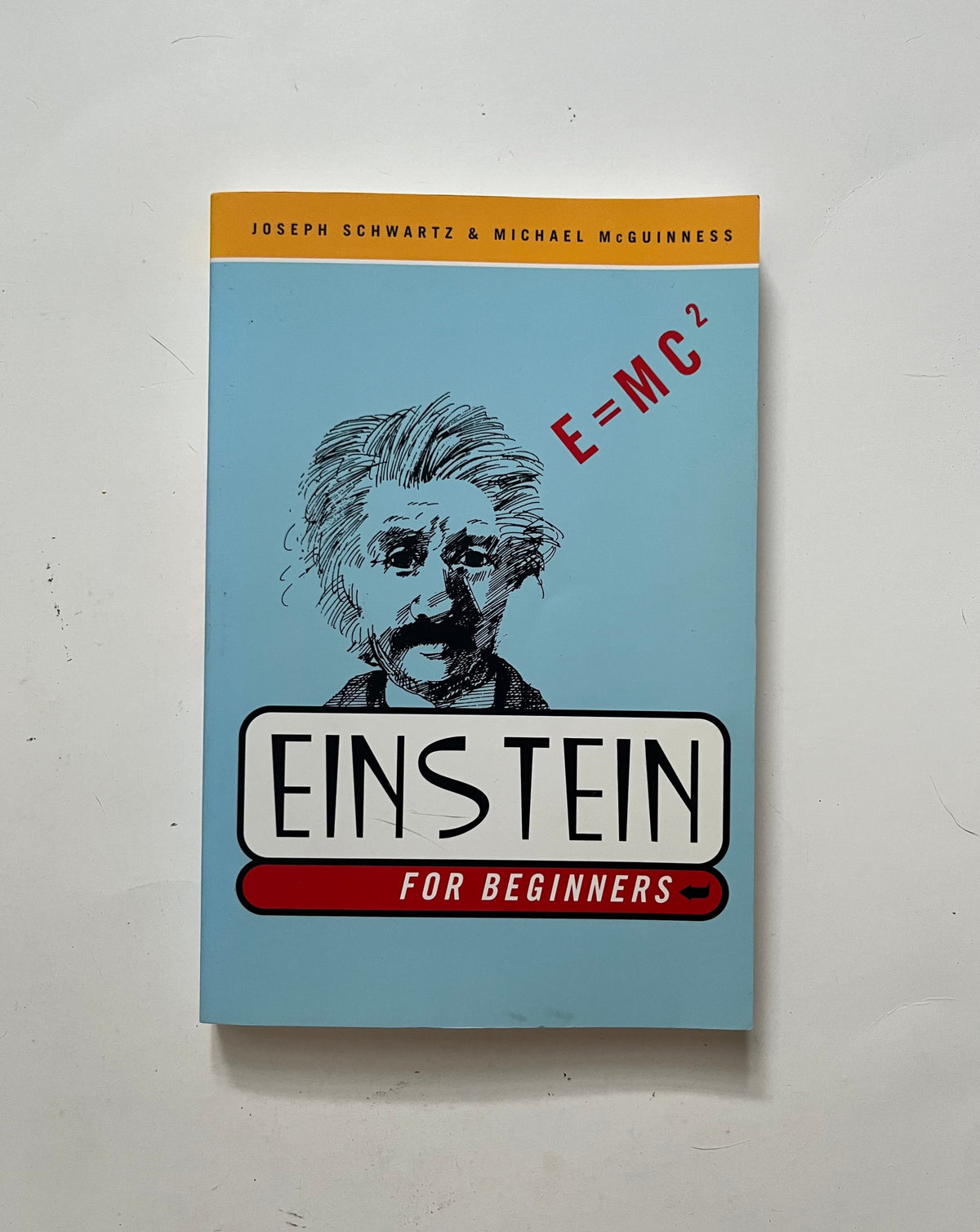Einstein for Beginners by Joseph Schwartz &amp; Michael McGuinness