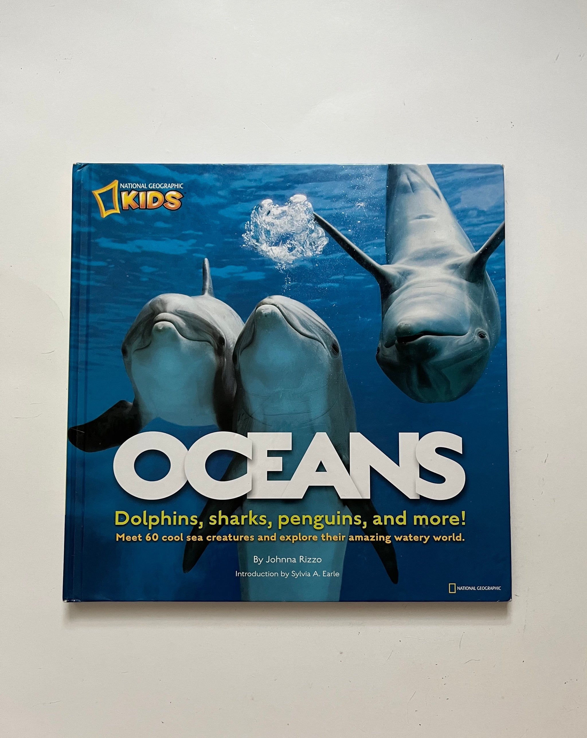 Oceans Dolphins Sharks Penguins