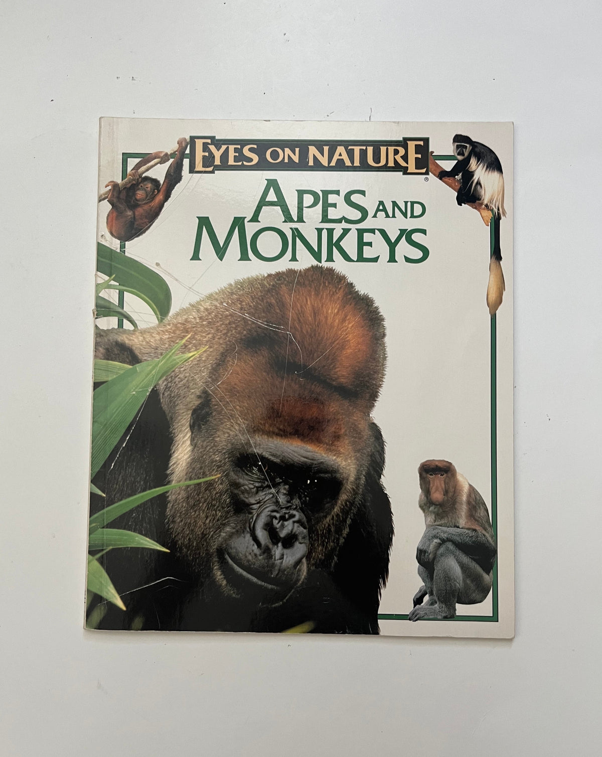 Eyes on Nature: Apes and Monkeys