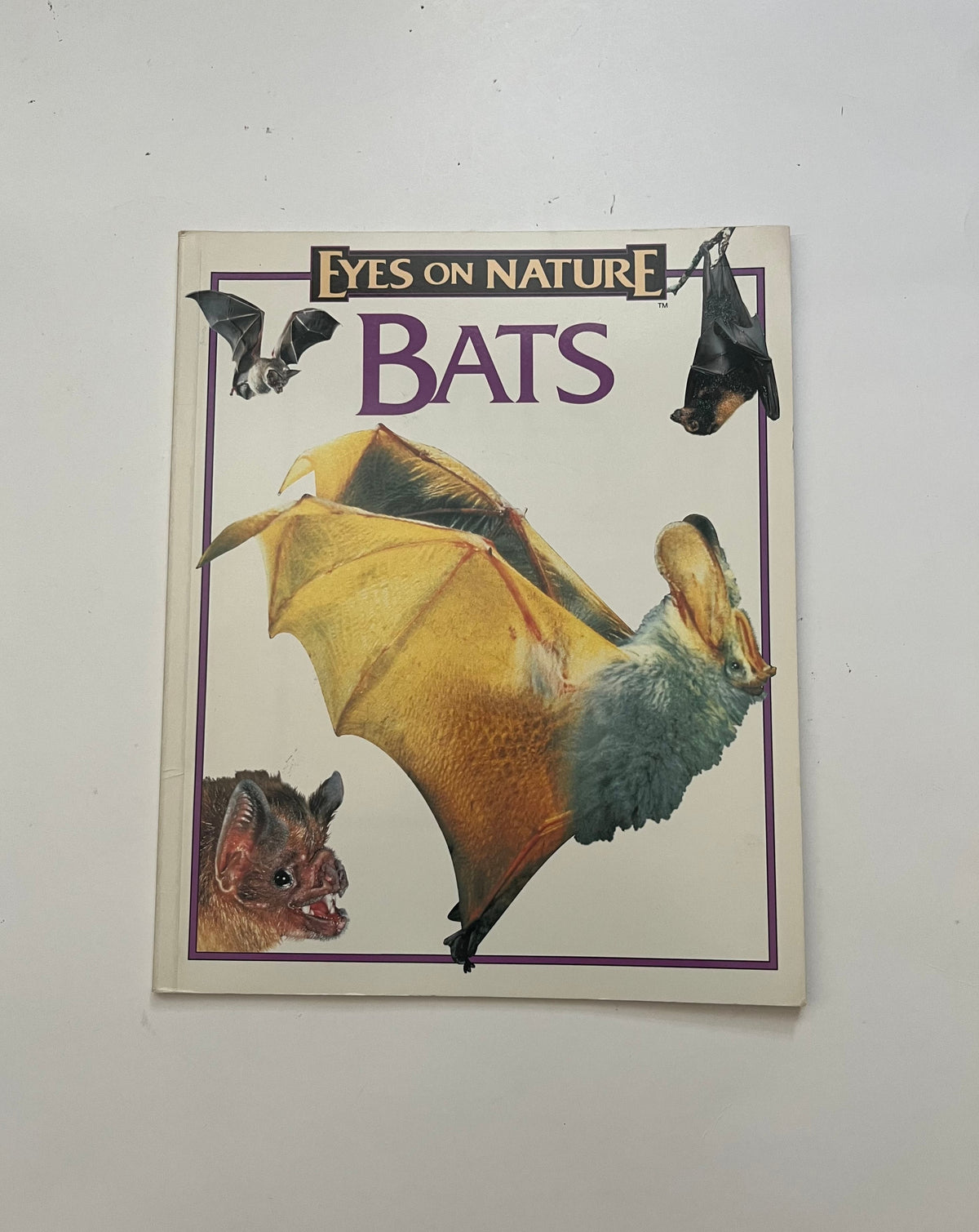 DONATE: Eyes on Nature: Bats