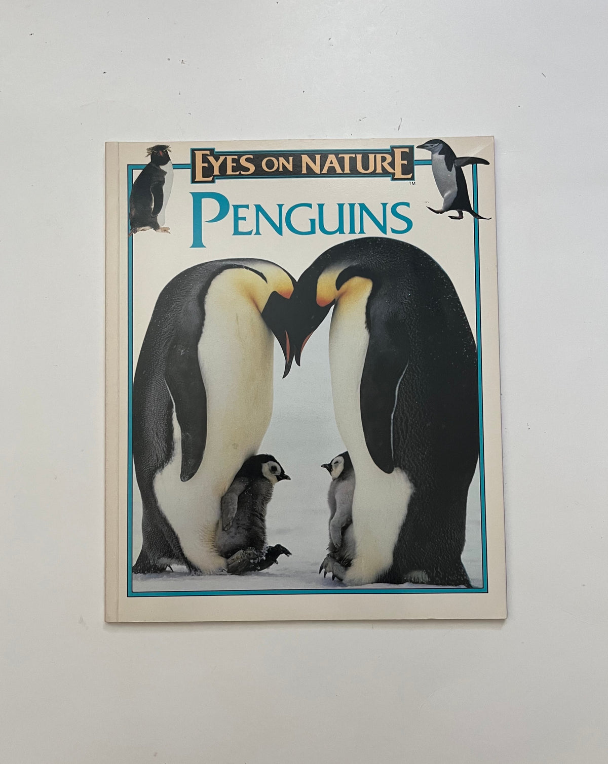 DONATE: Eyes on Nature: Penguins