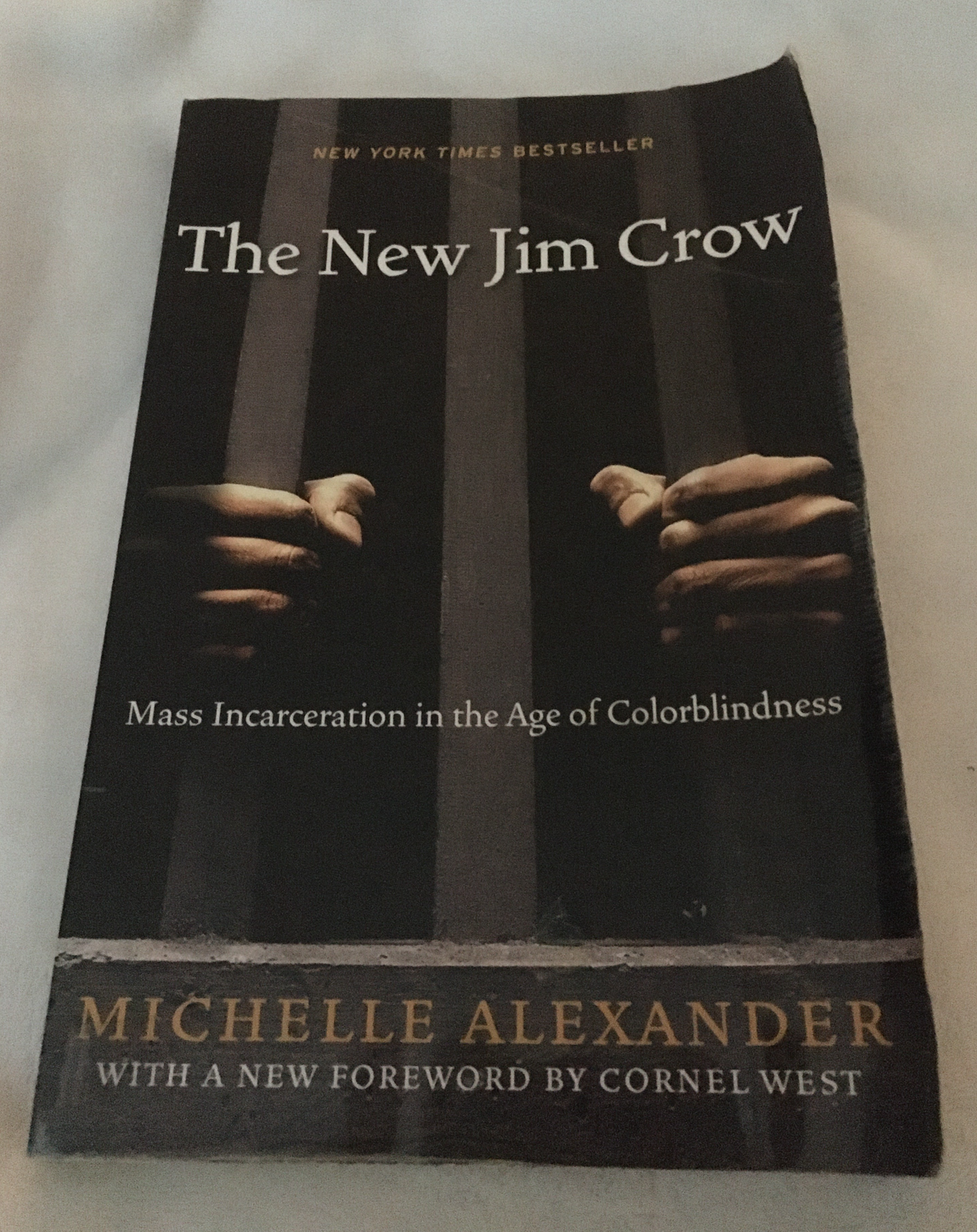 The New Jim Crow by Michelle Alexander, book, Ten Dollar Books, Ten Dollar Books