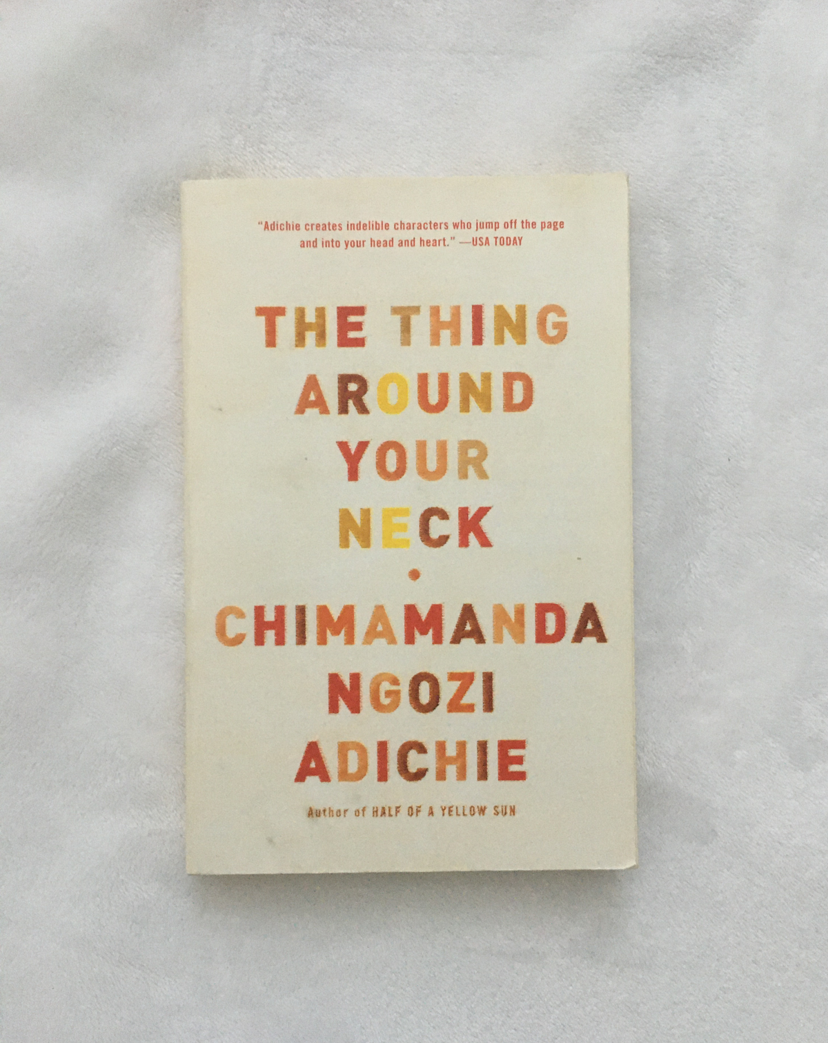 The Thing Around Your Neck by Chimamanda Adichie, book, Ten Dollar Books, Ten Dollar Books