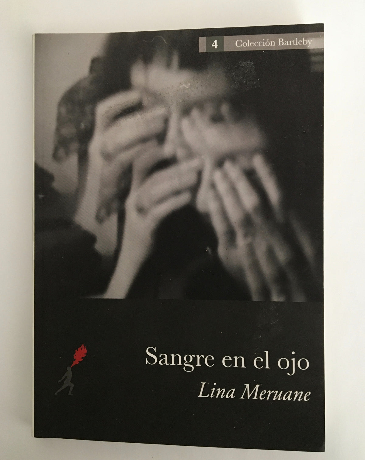 Sangre en el ojo by Lina Meruane, book, Ten Dollar Books, Ten Dollar Books