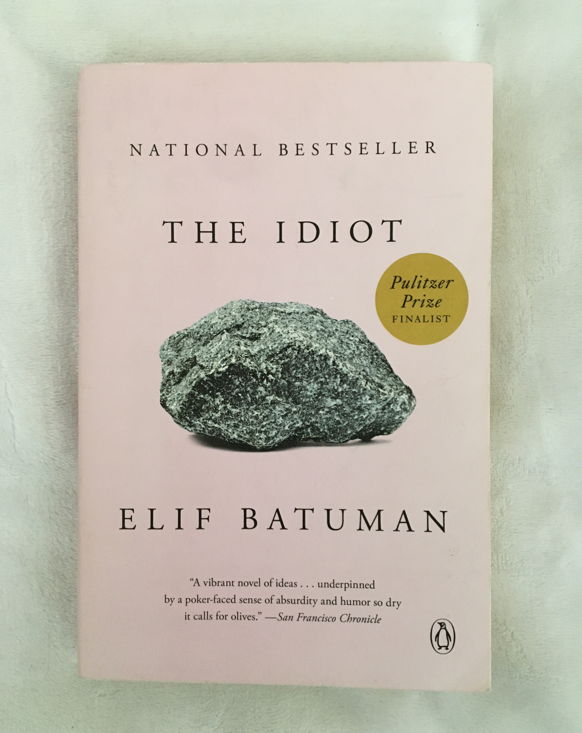 The Idiot by Elif Batuman, book, Ten Dollar Books, Ten Dollar Books