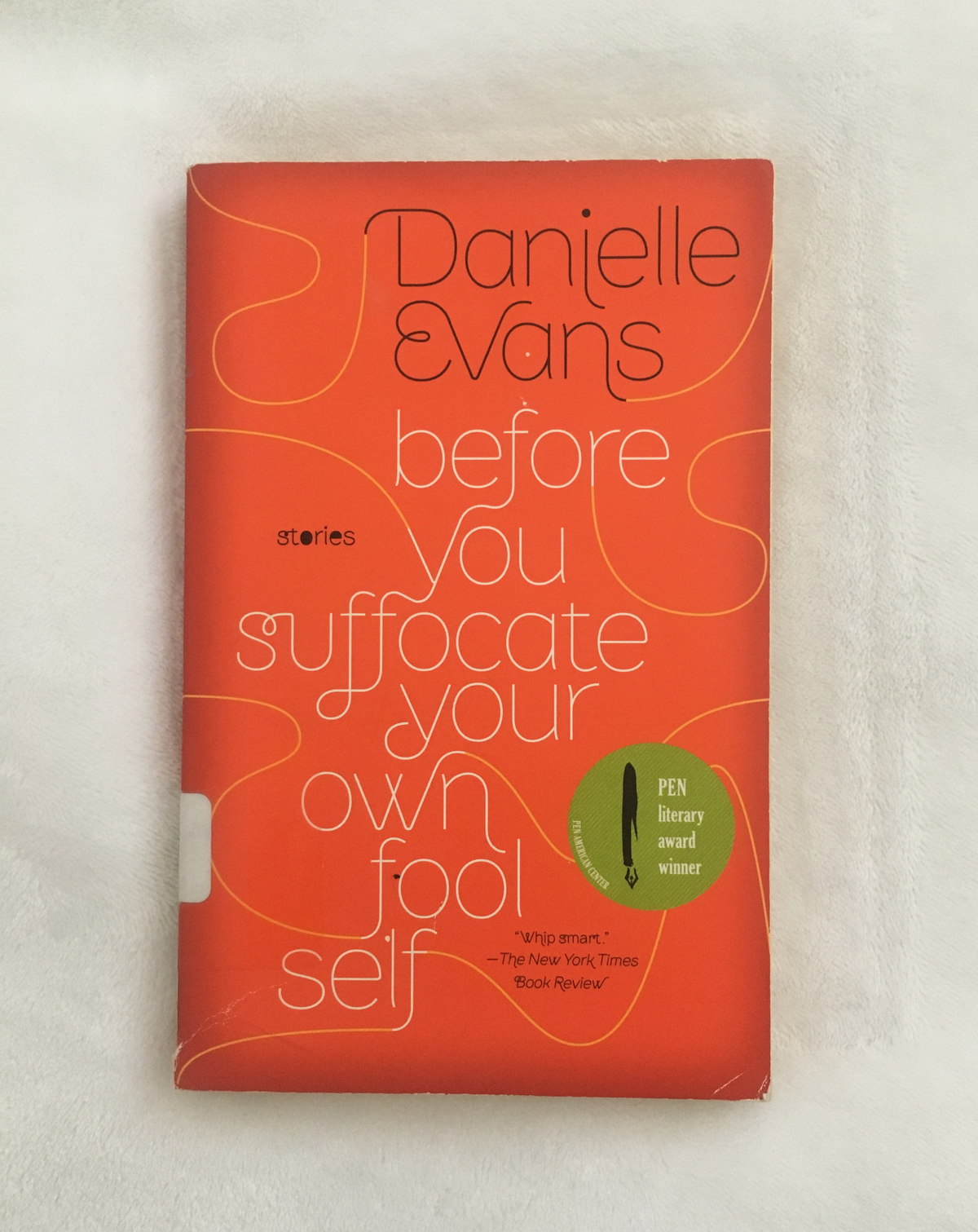 Before You Suffocate Your Own Fool Self by Danielle Evans, book, Ten Dollar Books, Ten Dollar Books