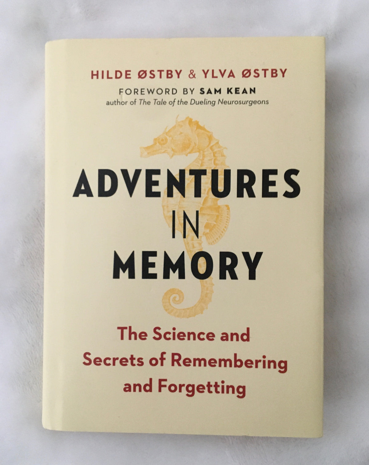 Adventures in Memory by (Hilde Ostby &amp; Yluva Ostby, book, Ten Dollar Books, Ten Dollar Books