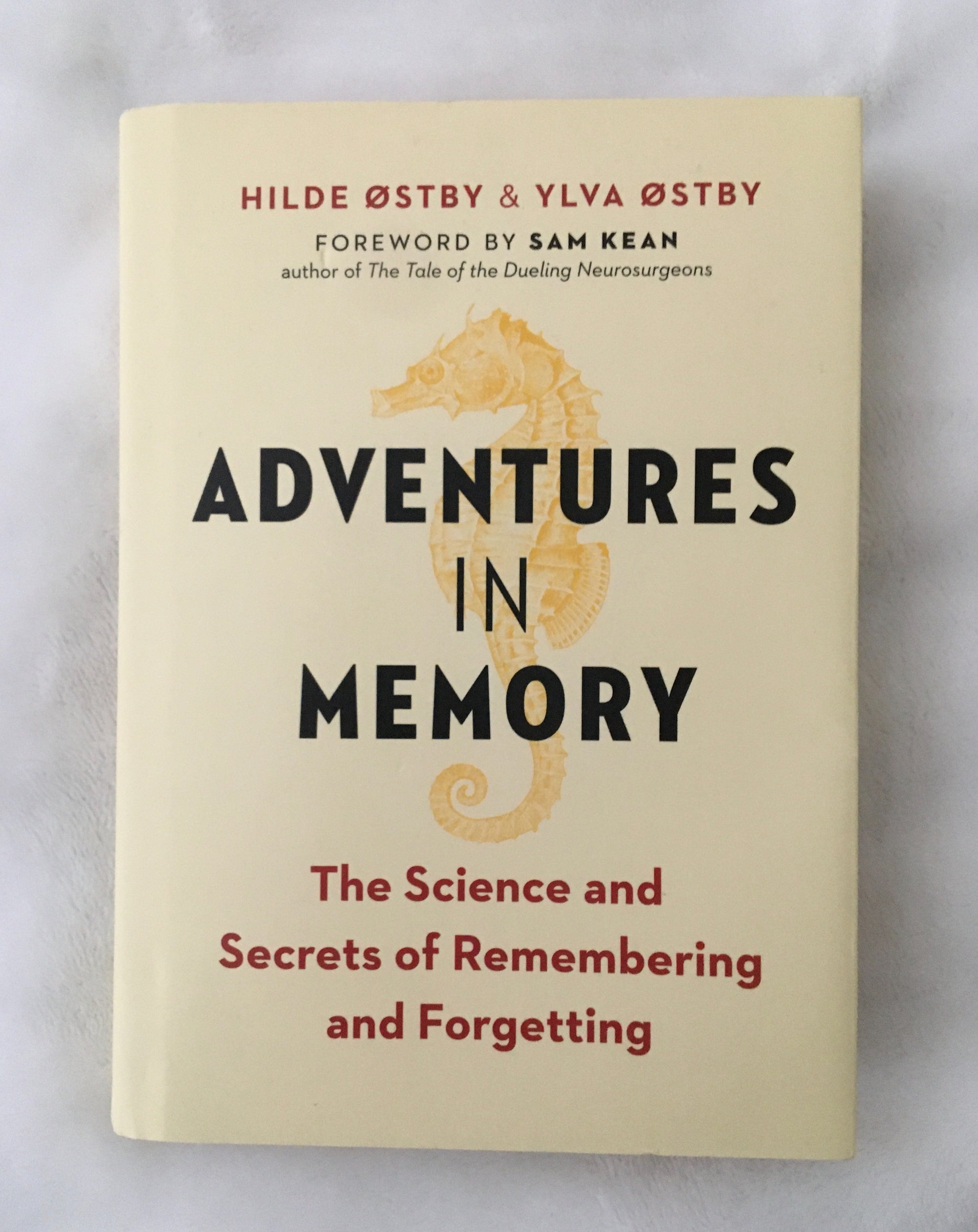 Adventures in Memory by (Hilde Ostby & Yluva Ostby, book, Ten Dollar Books, Ten Dollar Books