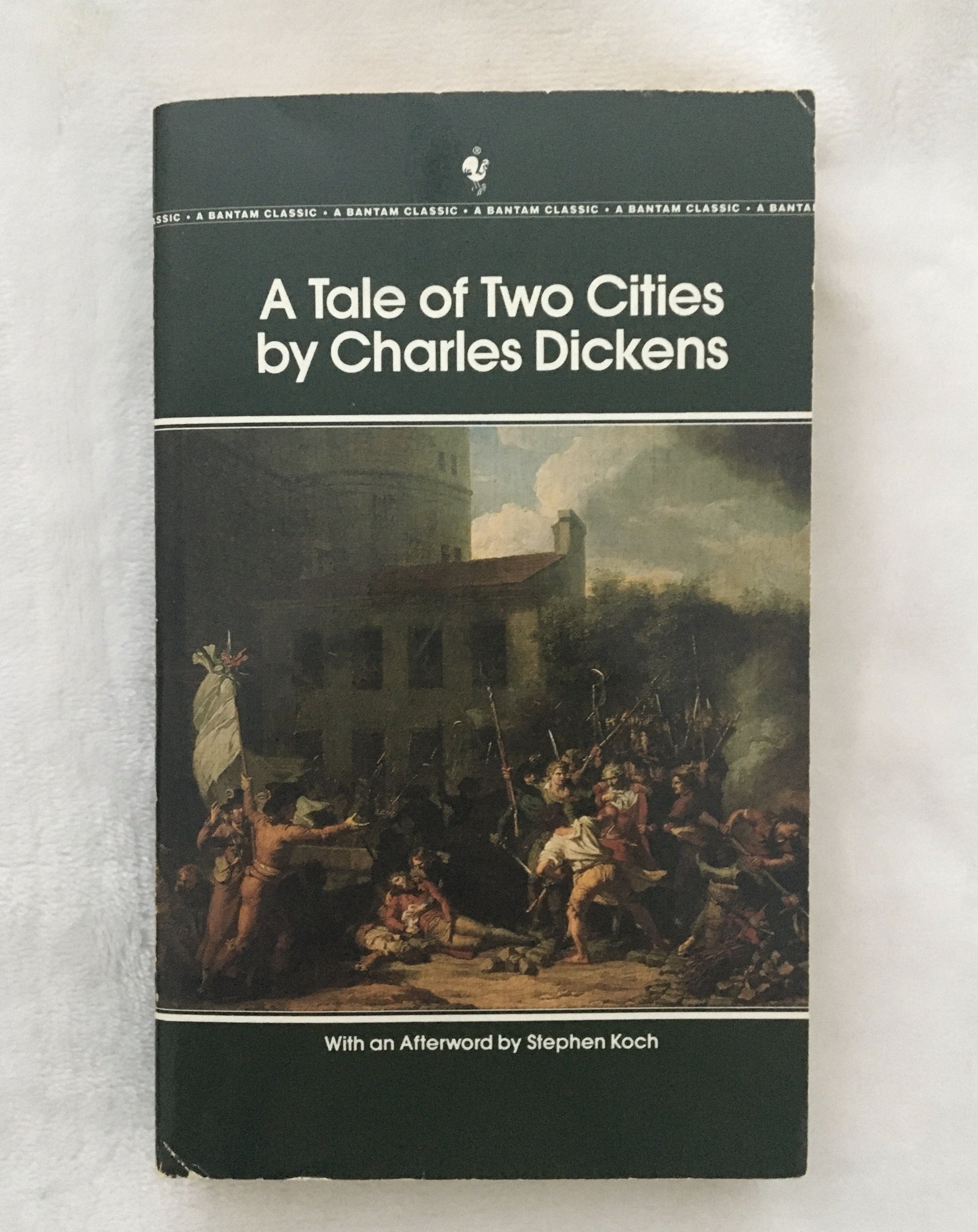 A Tale of Two Cities by Charles Dickens, book, Ten Dollar Books, Ten Dollar Books