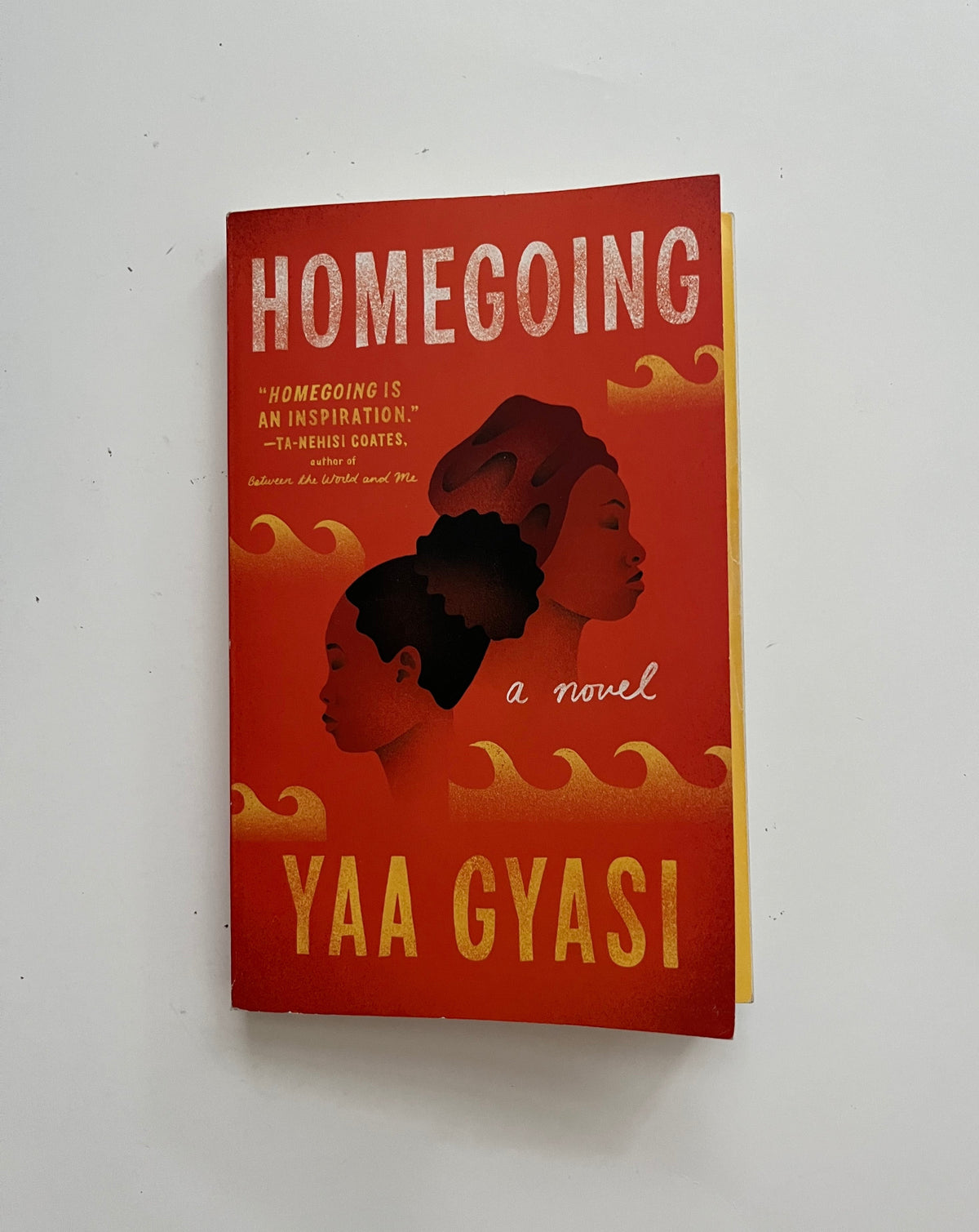 DONATE: Homegoing by Yaa Gyasi