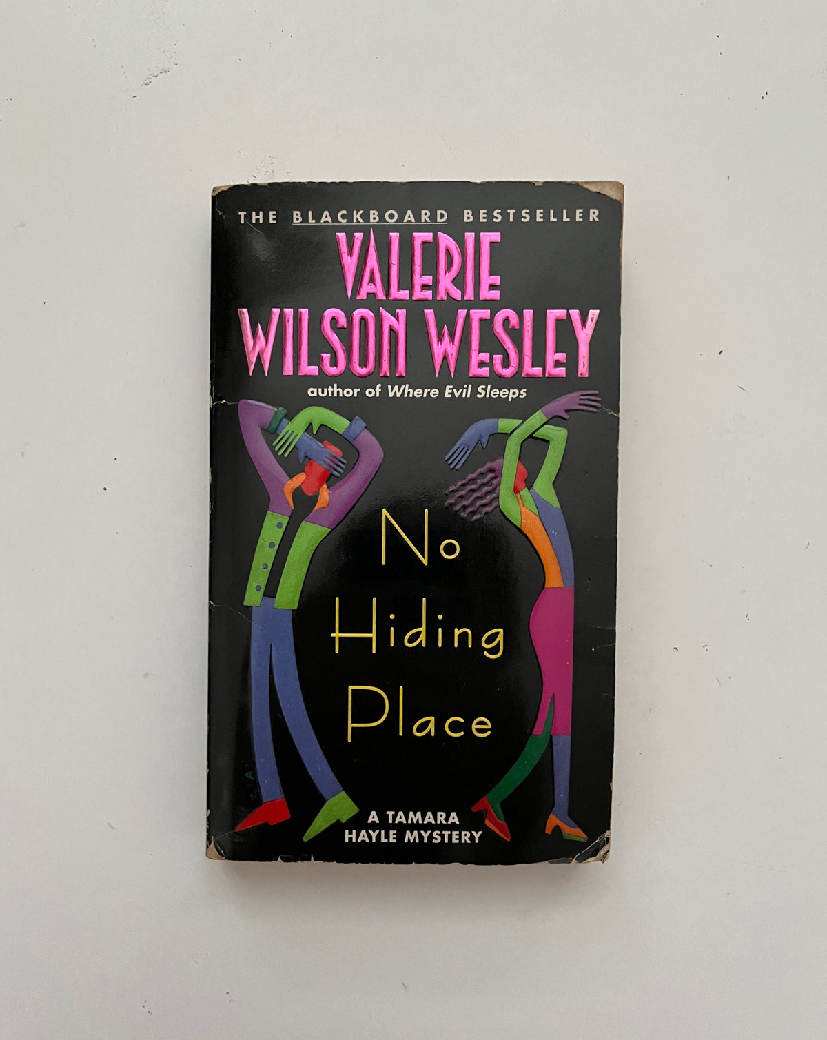 Donate: No Hiding Place by Valerie Wilson Wesley