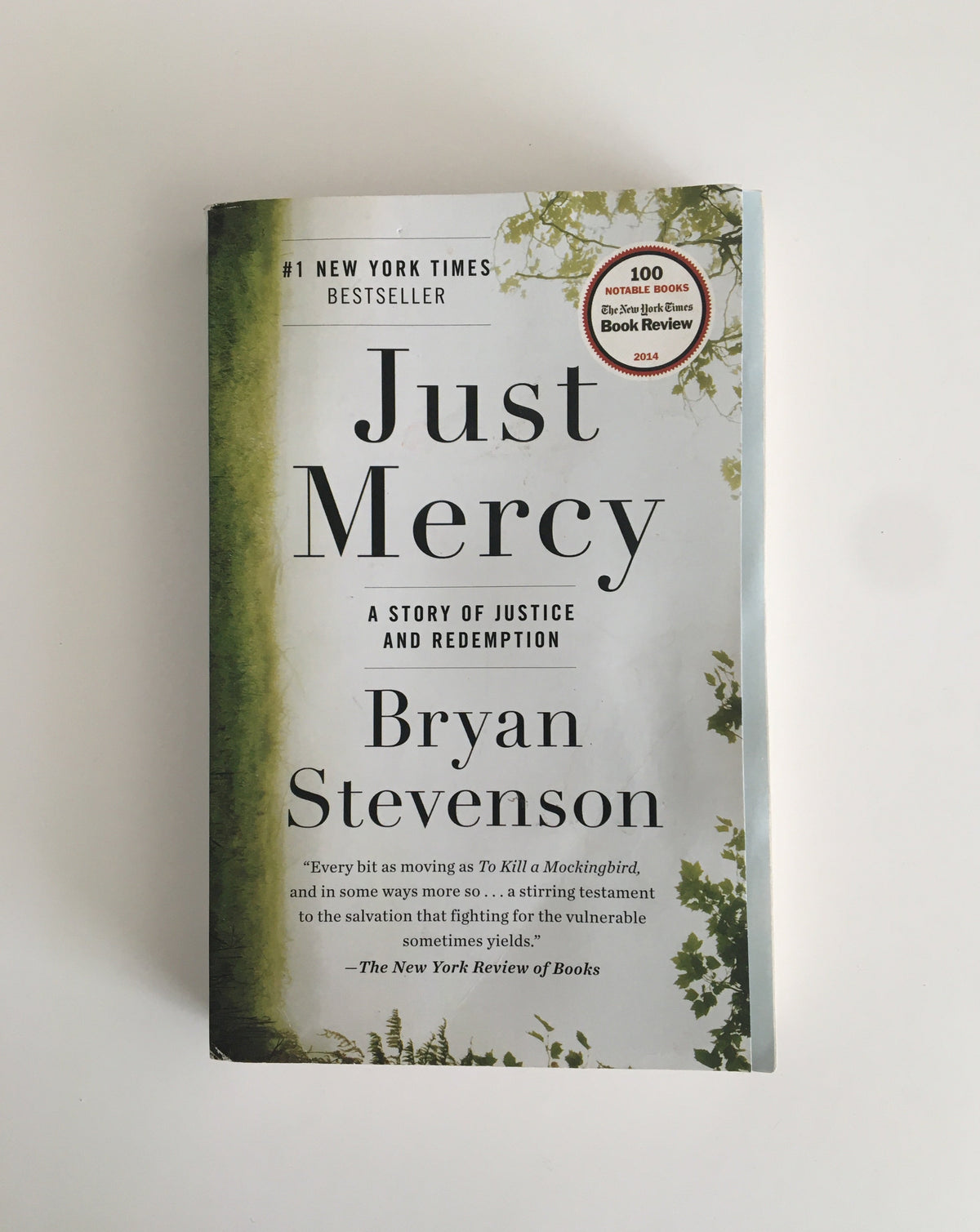 Donate: Just Mercy: A Story of Justice and Redemption by Bryan Stevenson