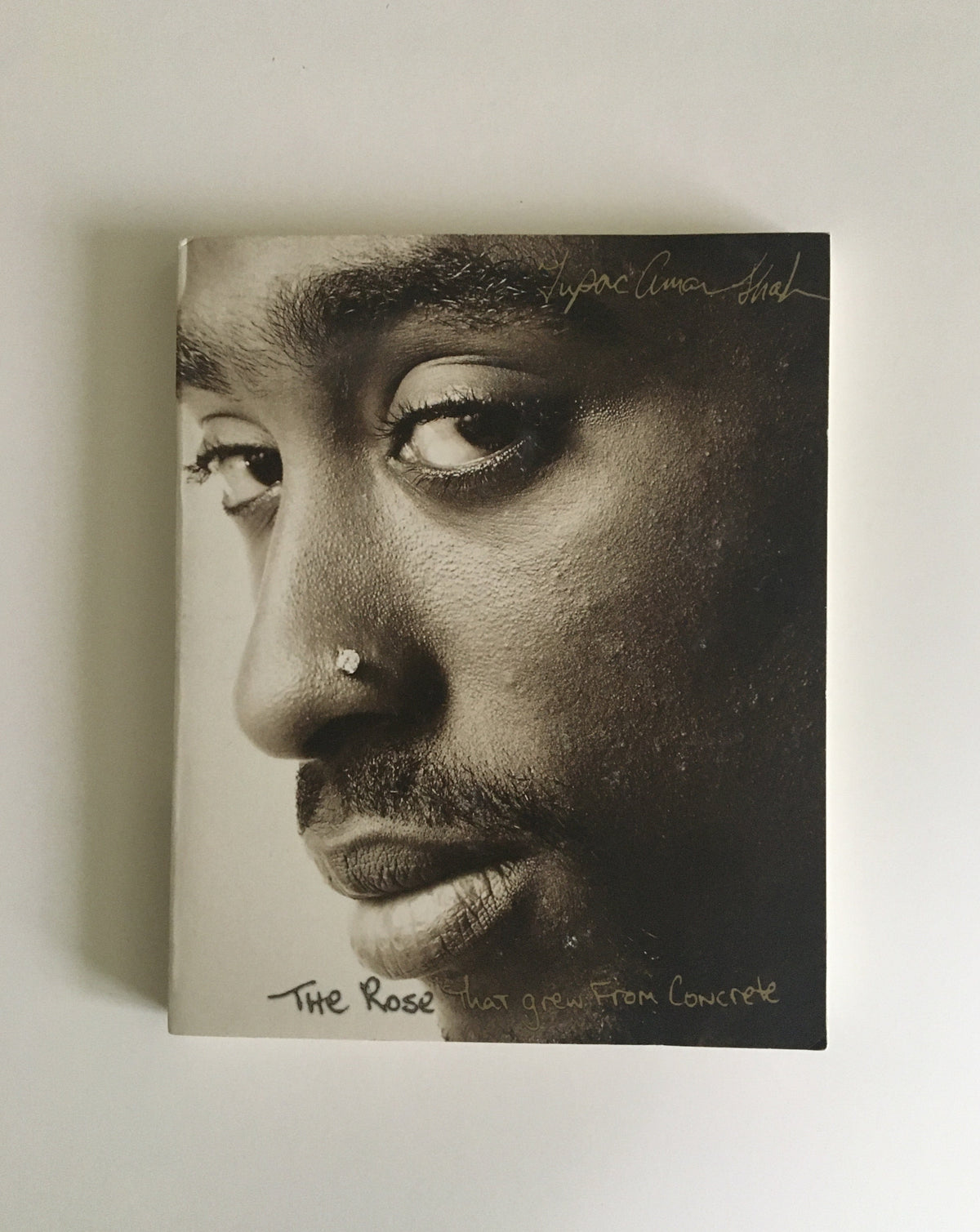 The Rose That Grew From the Concrete by Tupac Shakur