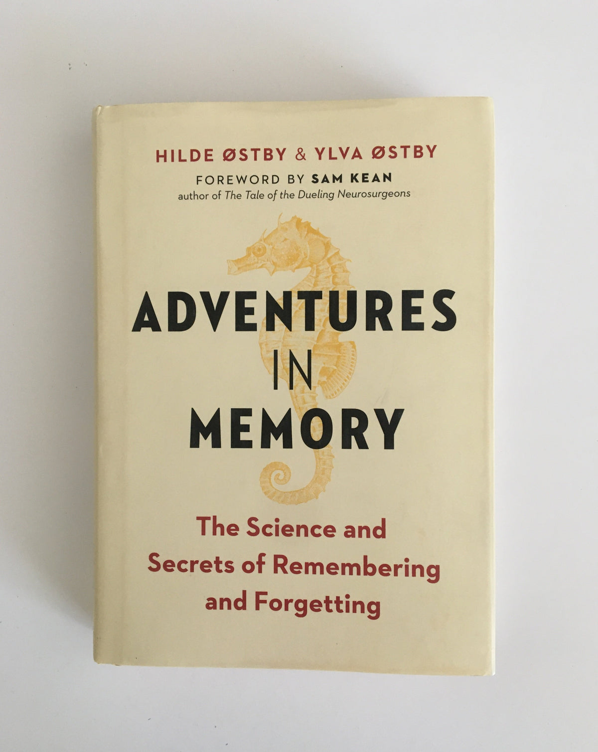 Adventures in Memory by Hilde Ostby &amp; Yluva Ostby