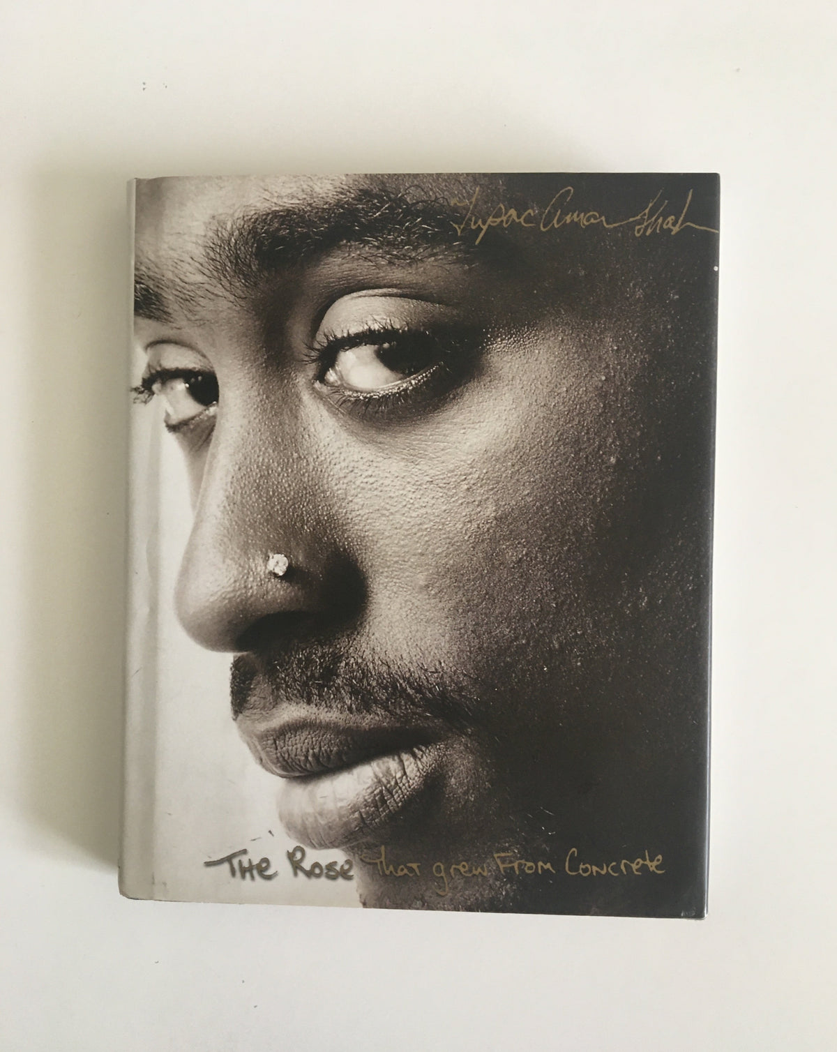 The Rose That Grew From the Concrete by Tupac Shakur