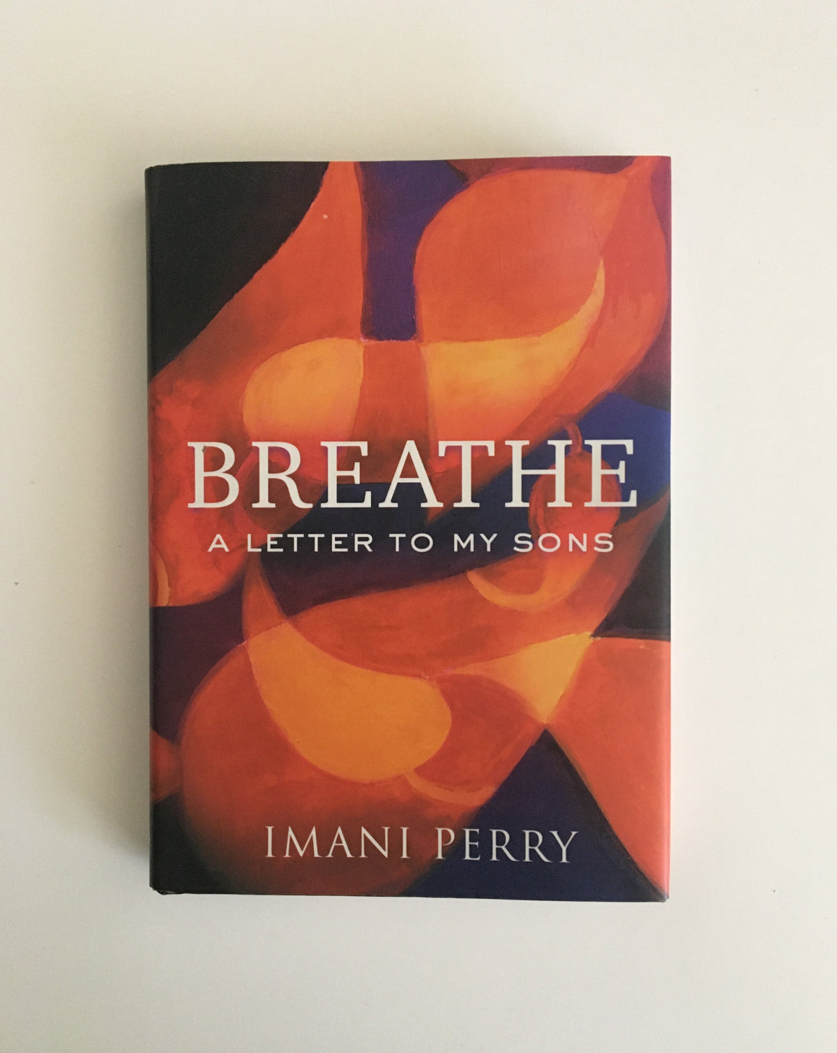 Breathe: A Letter to my Sons by Imani Perry