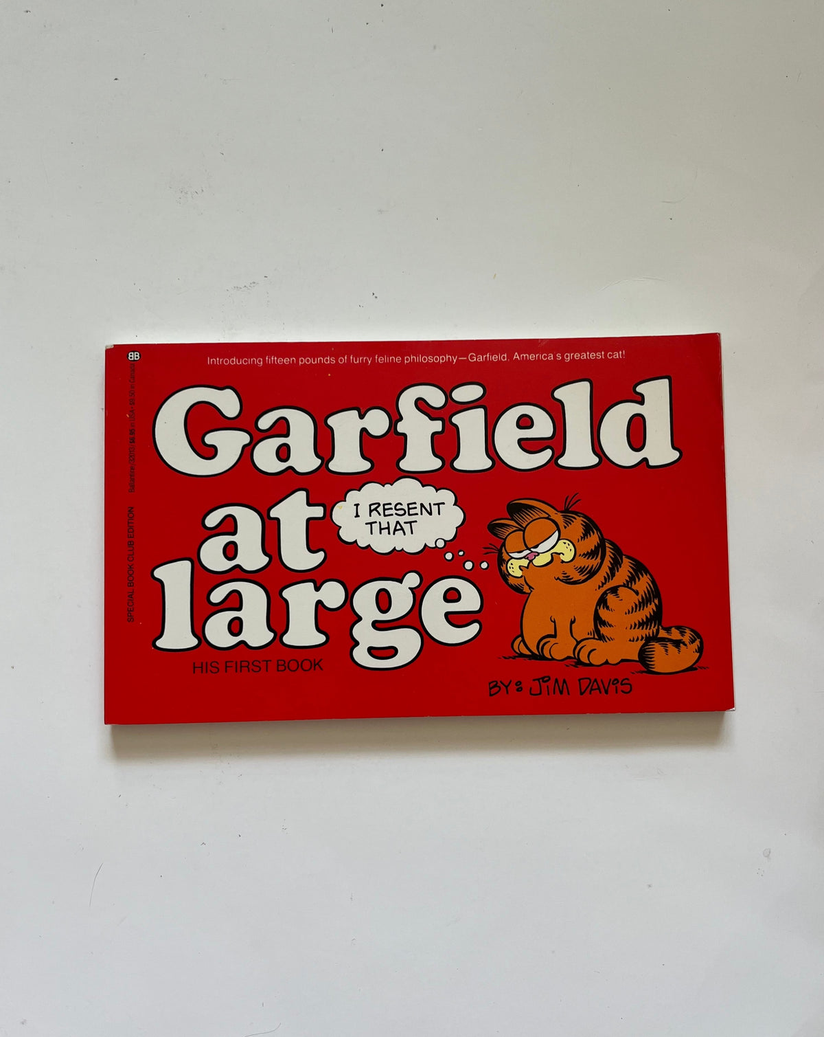 DONATE: Garfield at Large by Jim Davis