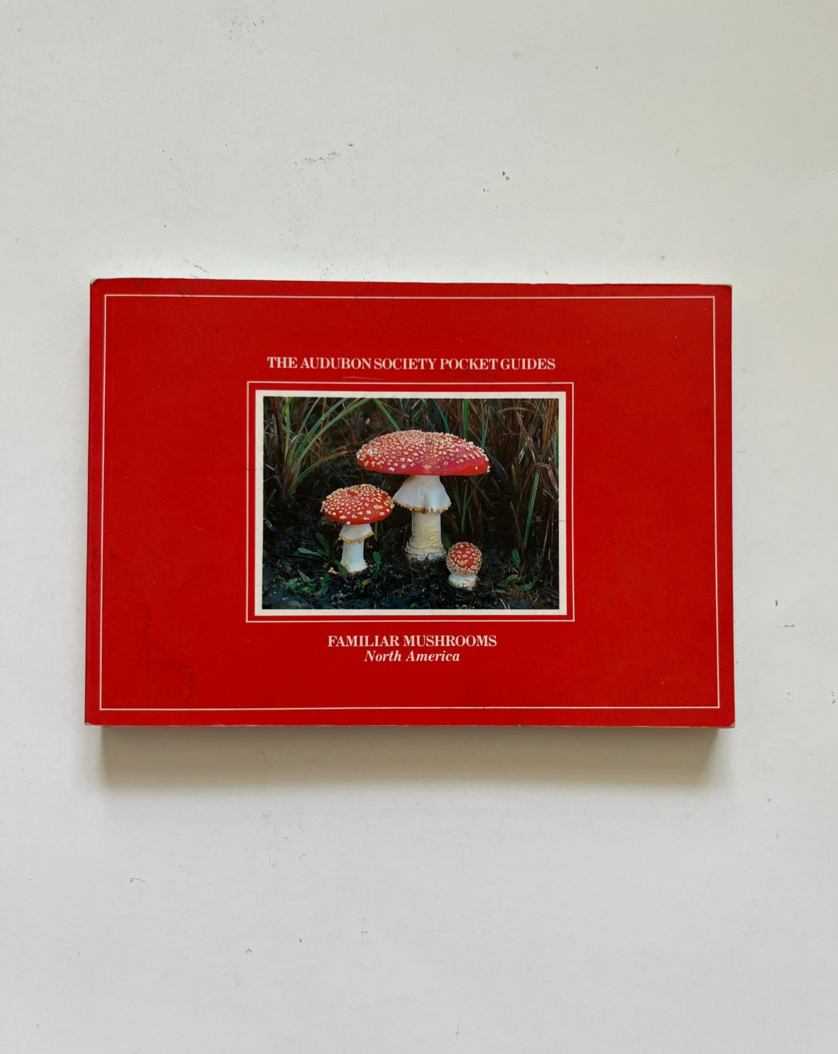 Familiar Mushrooms in North America Pocket Guide