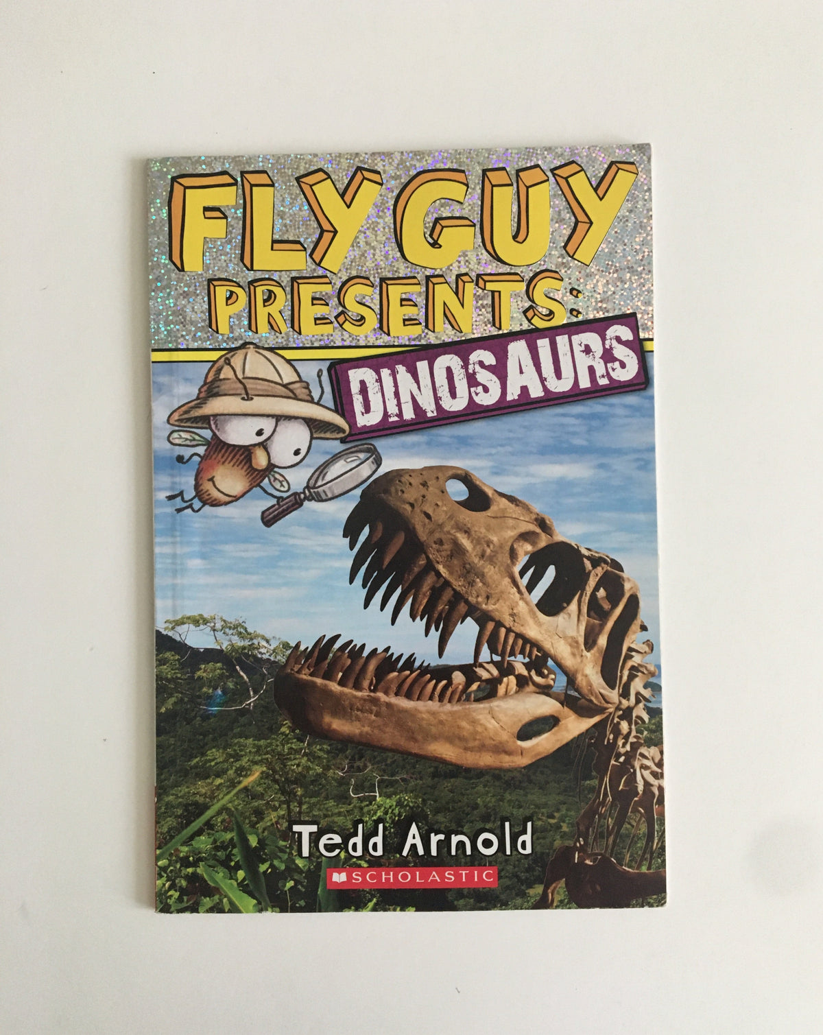 Fly Guy Presents: Dinosaurs by Tedd Arnold